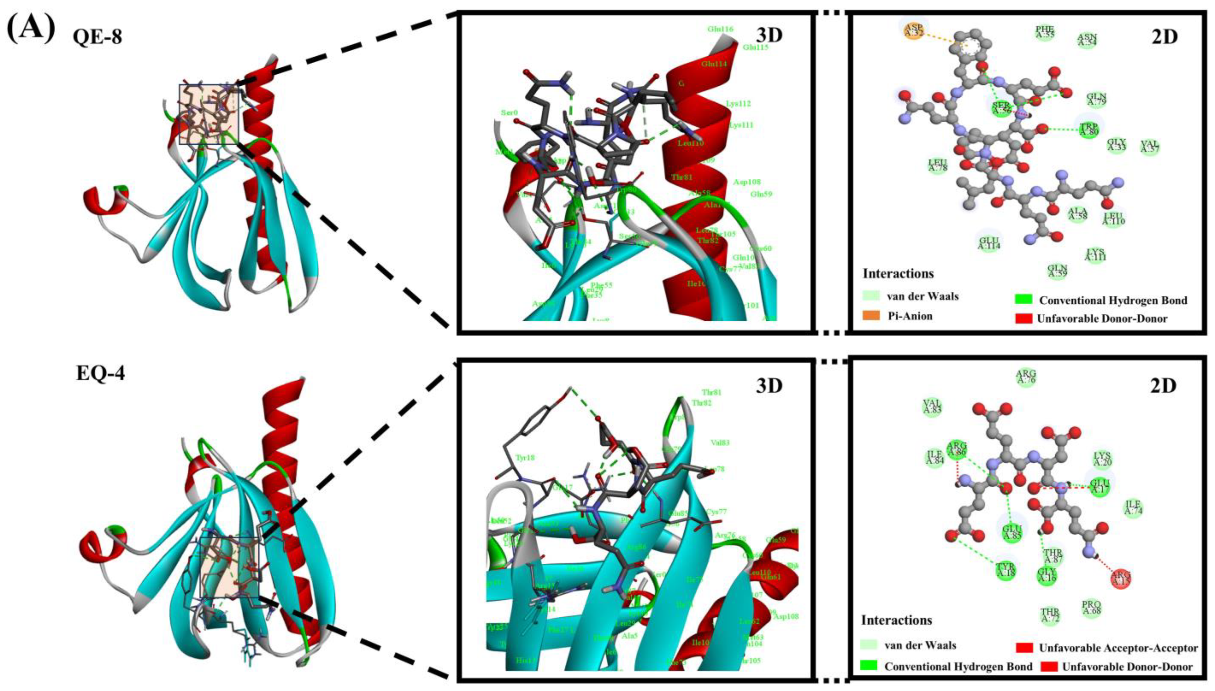 Foods 13 03805 g006a