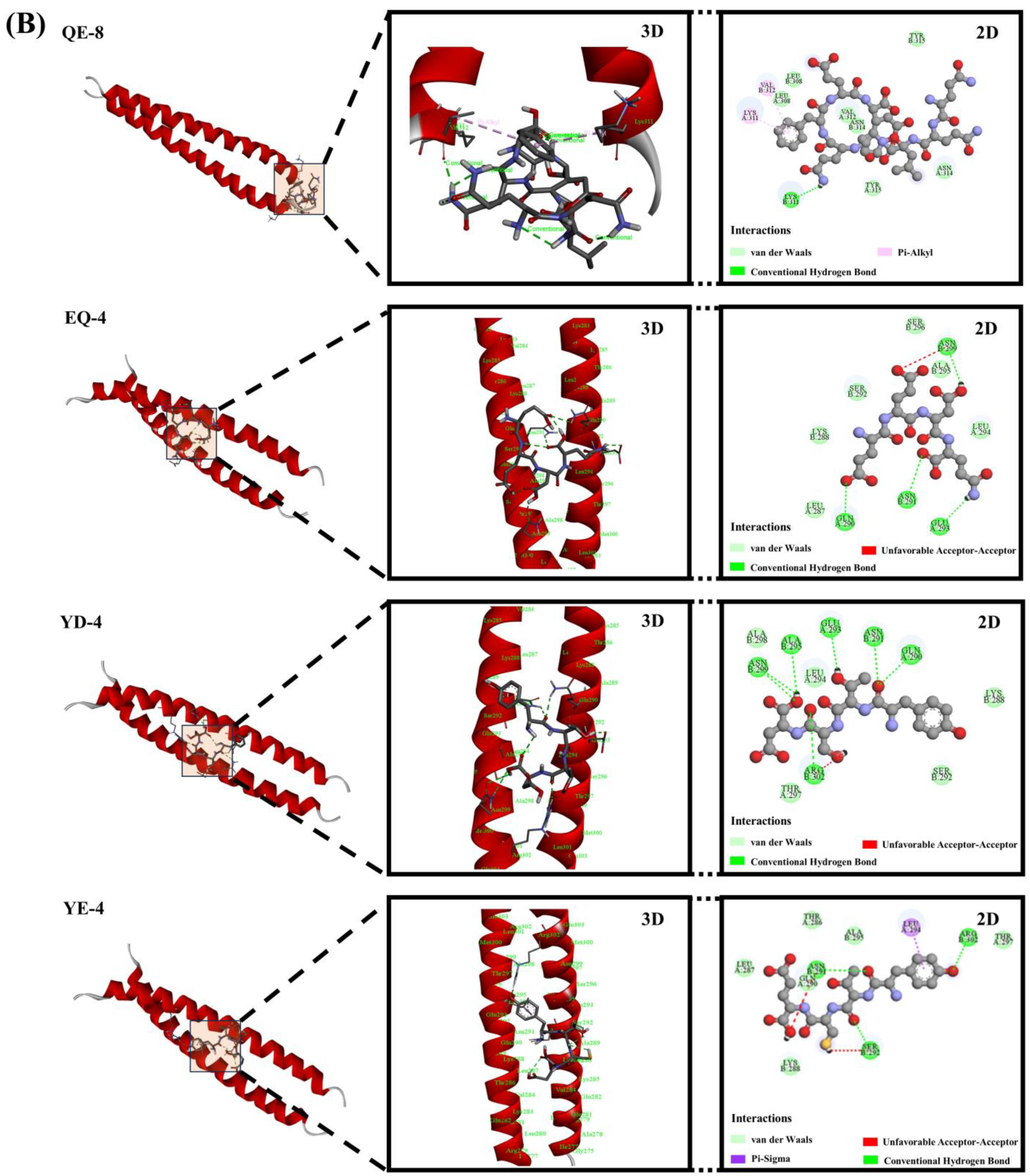 Foods 13 03805 g006c
