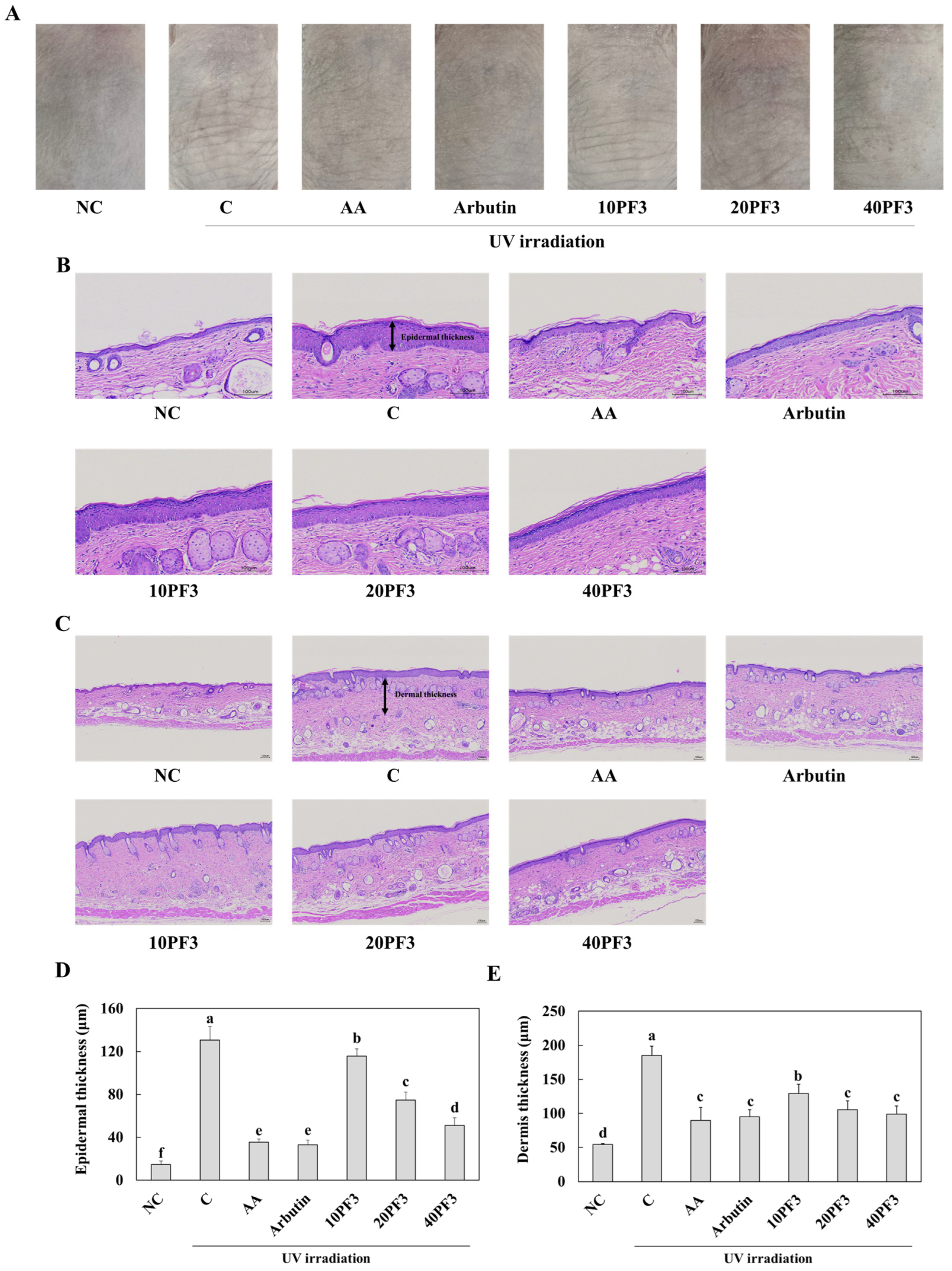 Foods 13 03824 g001 Foods 13 03824 g001