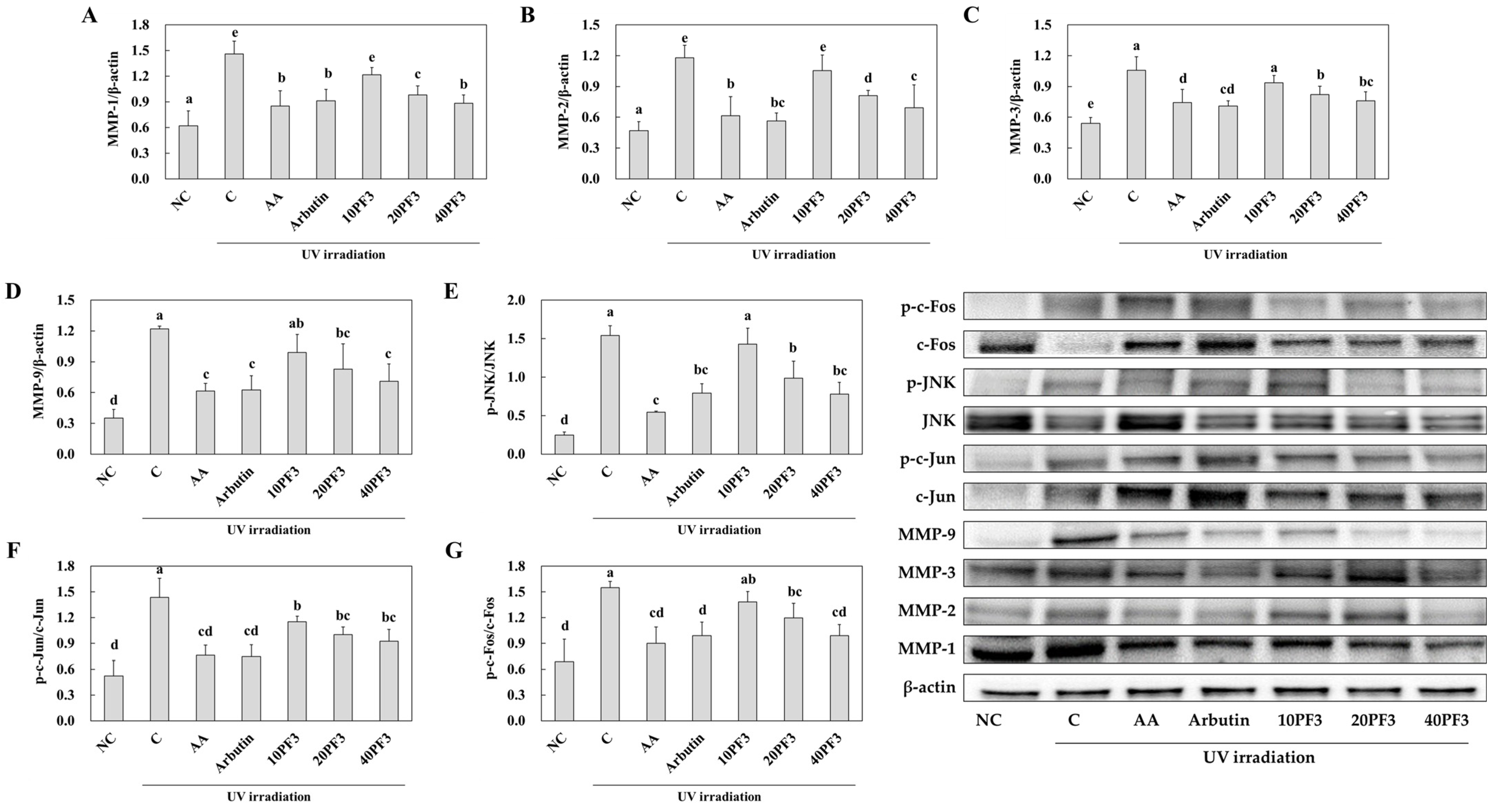 Foods 13 03824 g006 Foods 13 03824 g006