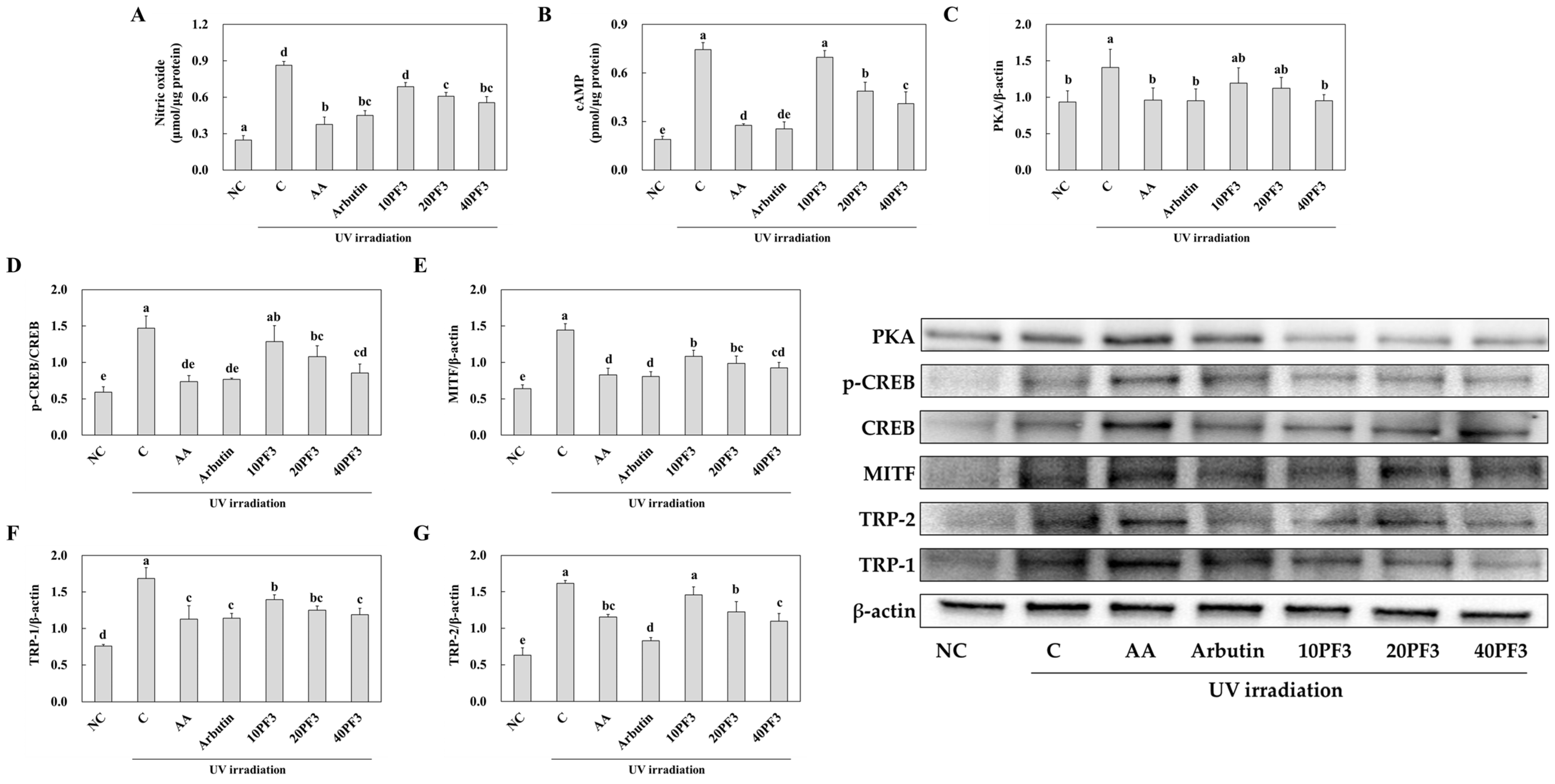 Foods 13 03824 g007 Foods 13 03824 g007