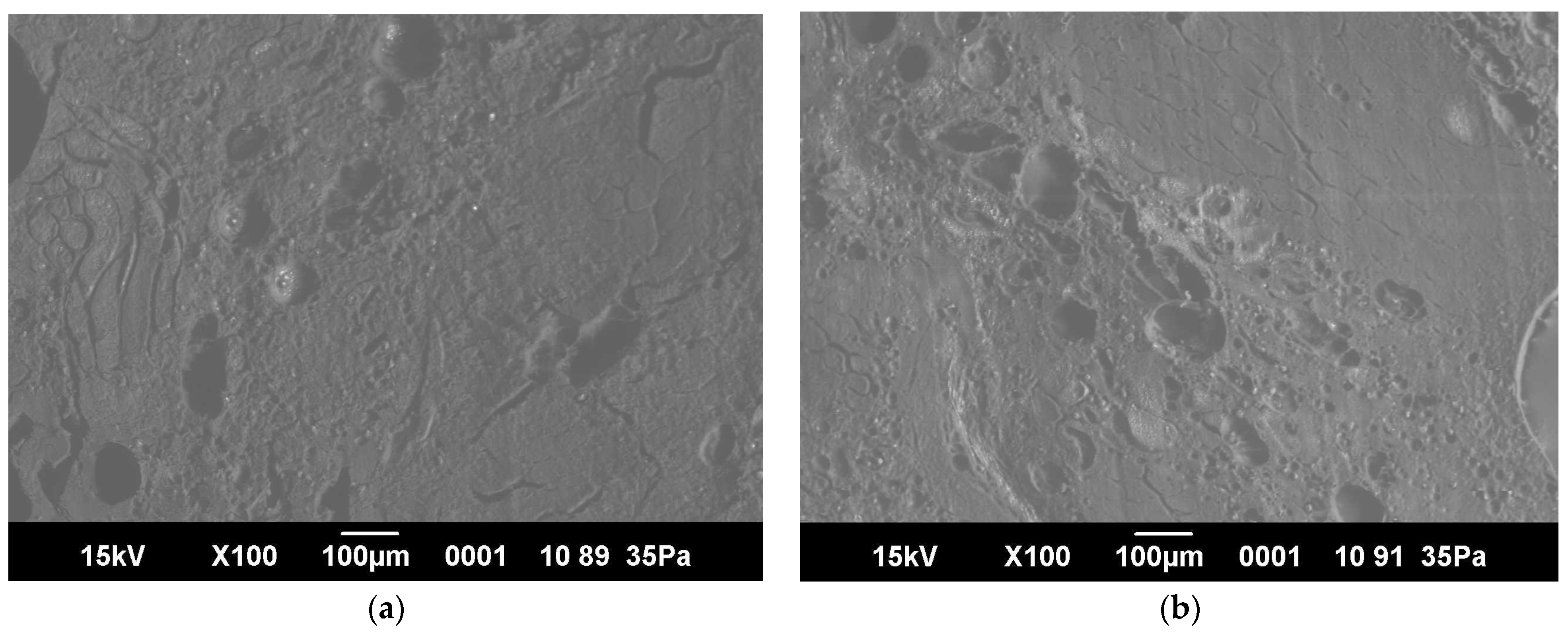 Foods 13 03849 g006a