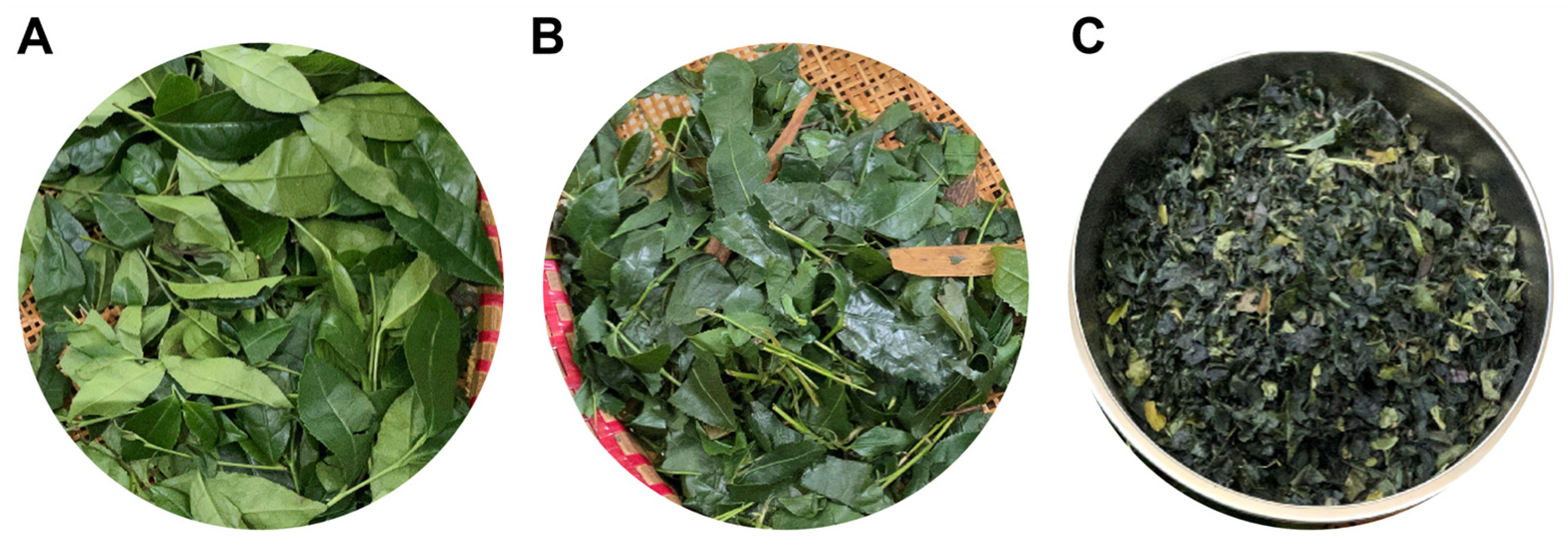 Foods 13 03862 g001 Foods 13 03862 g001