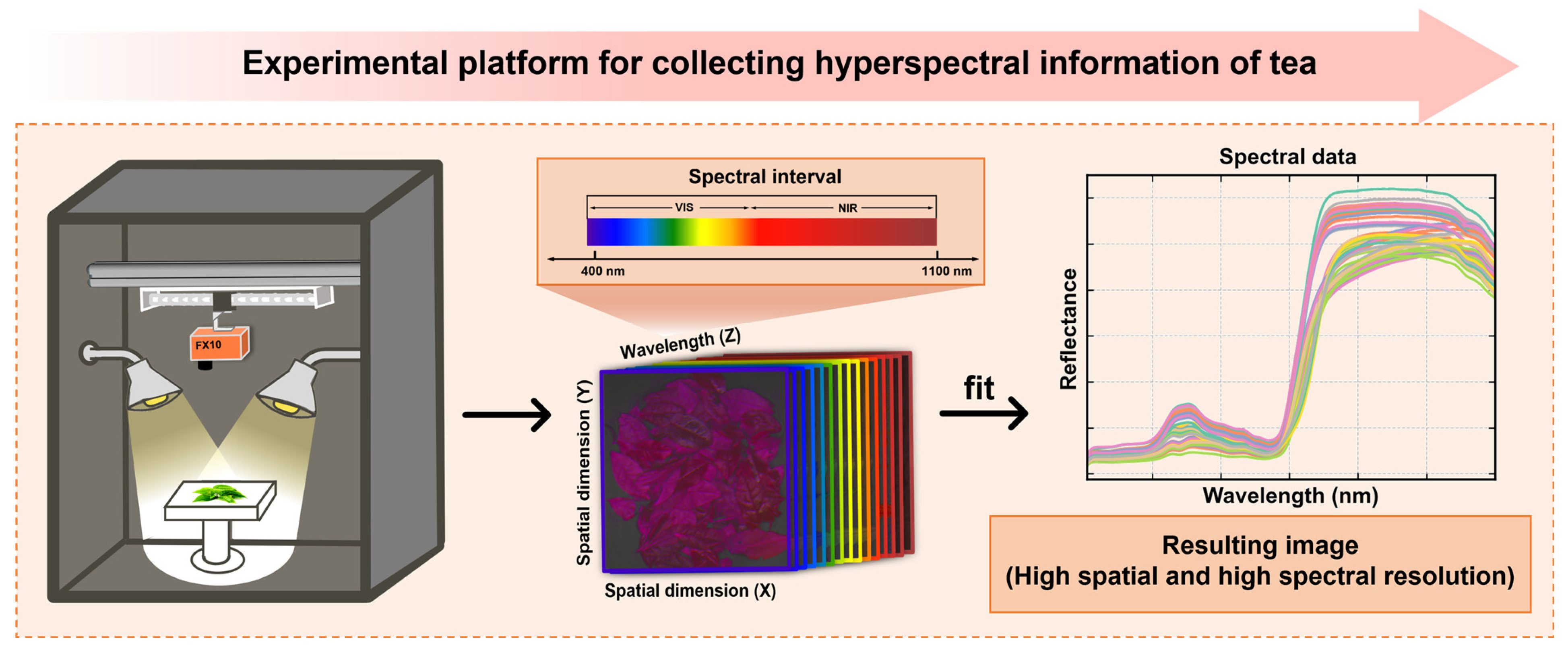 Foods 13 03862 g002 Foods 13 03862 g002