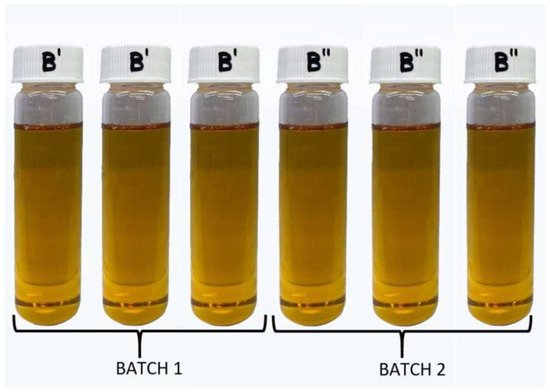 Exploring the Potential of Yellow Mealworm (Tenebrio molitor) Oil 