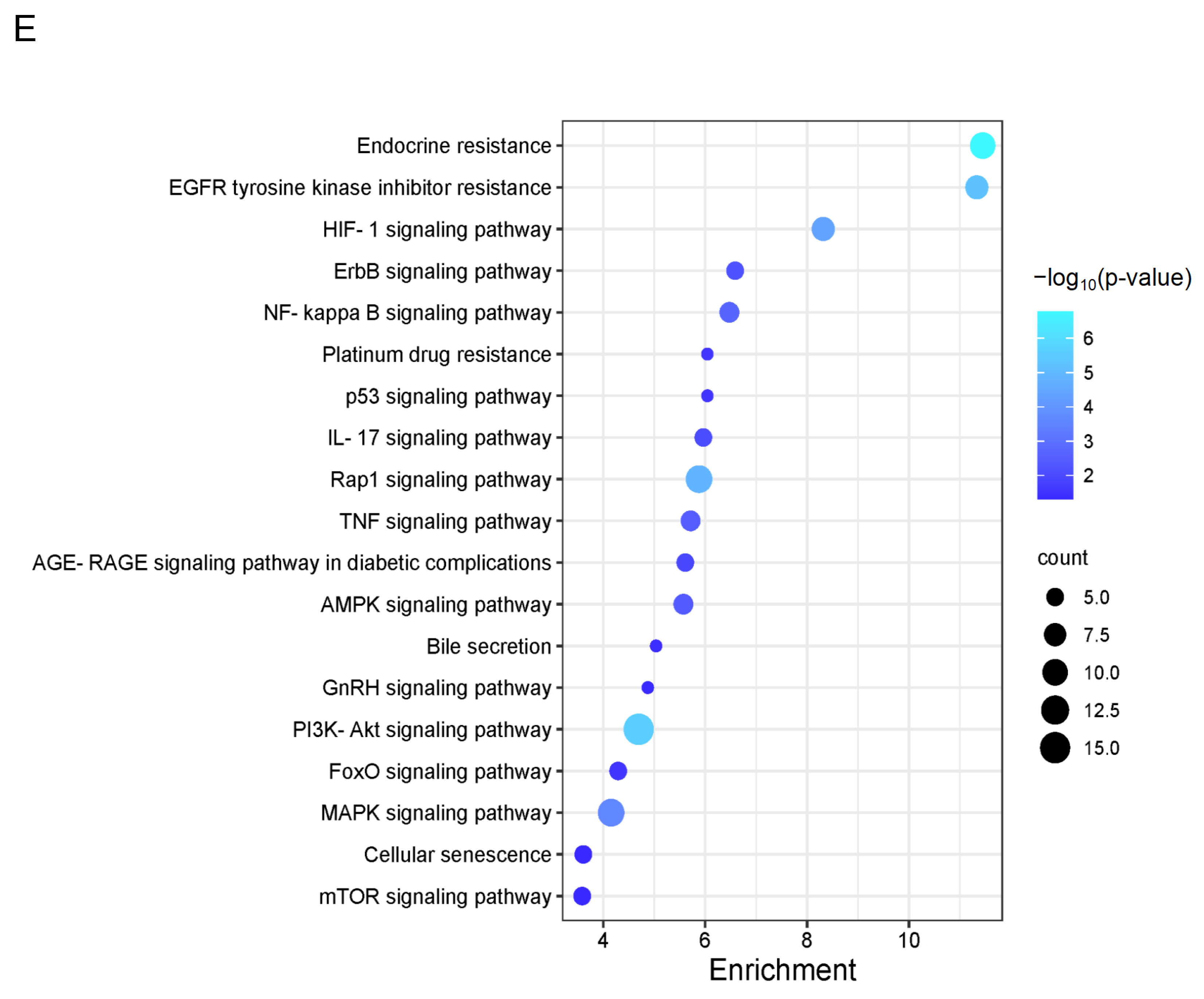 Foods 13 03868 g002b