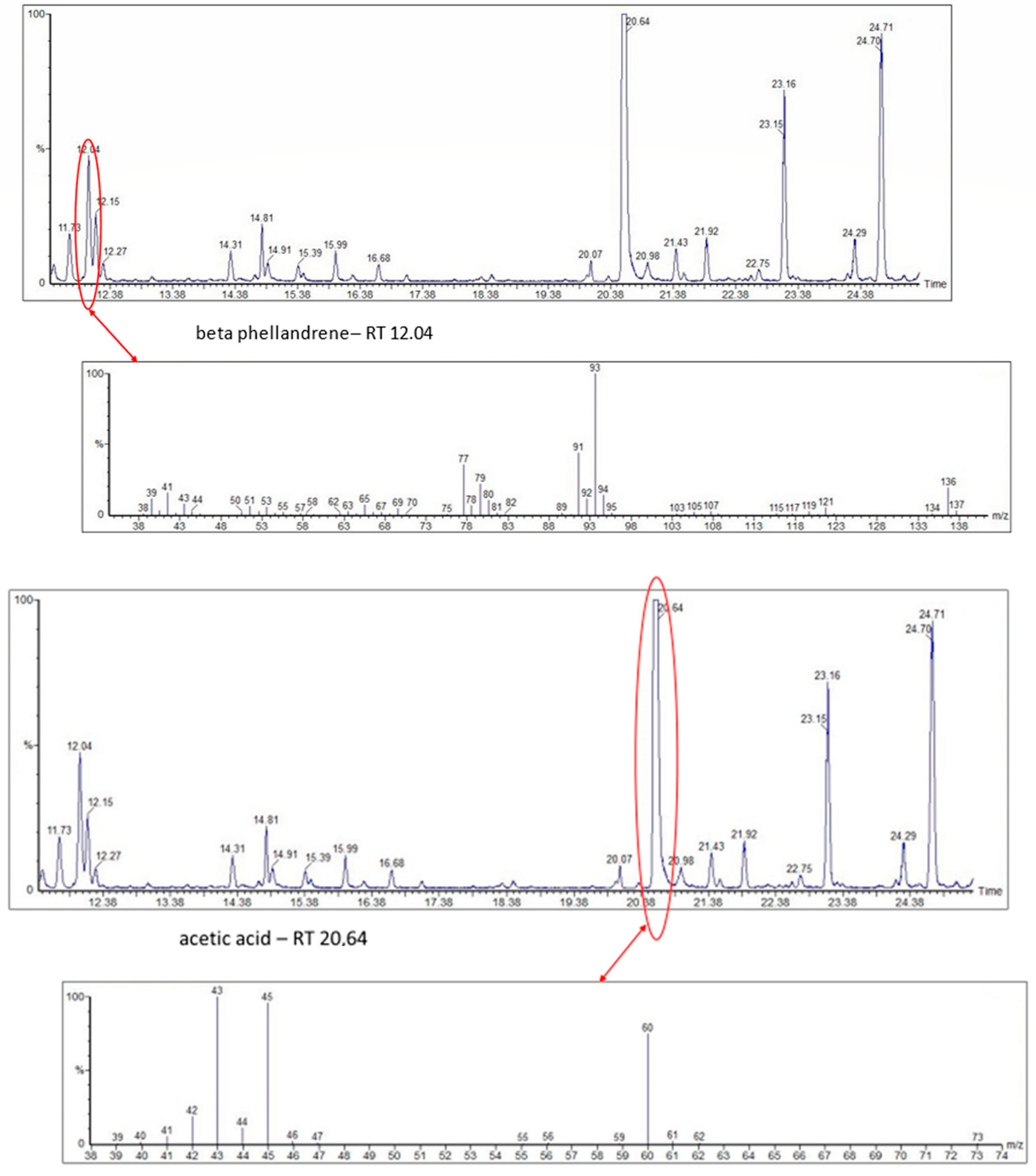 Foods 13 03879 g003a