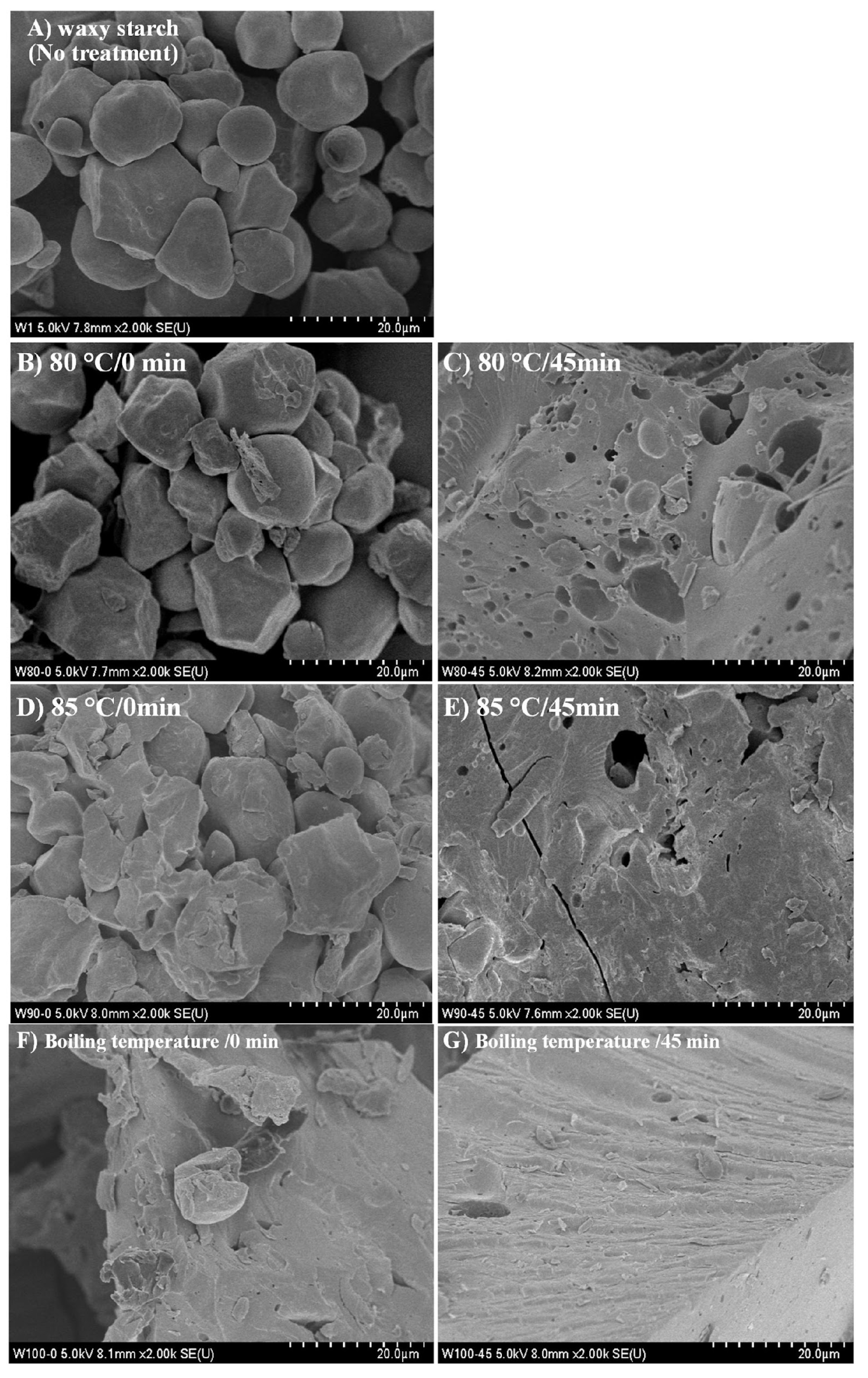 Foods 13 03888 g003a