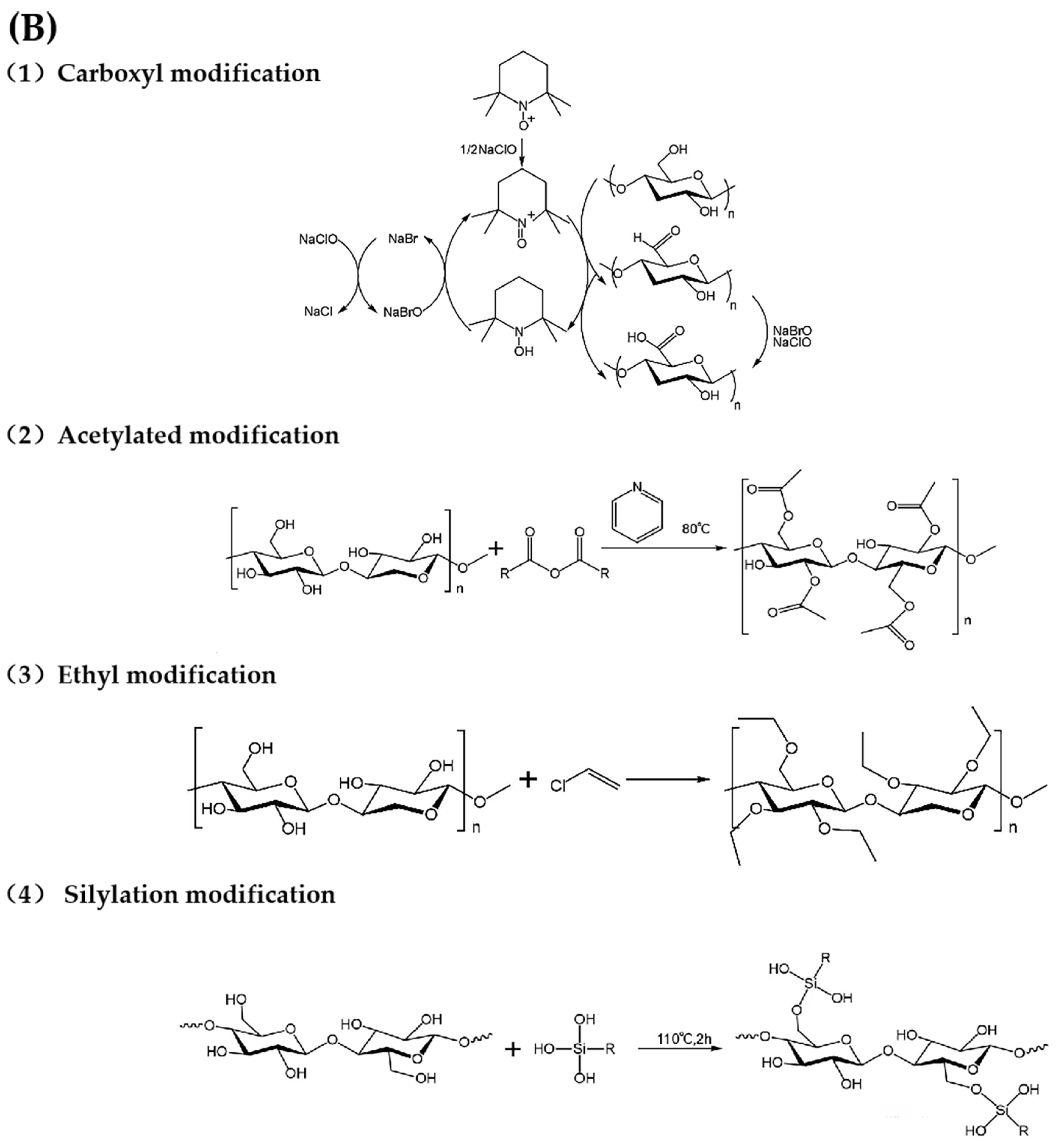 Foods 13 03999 g003b