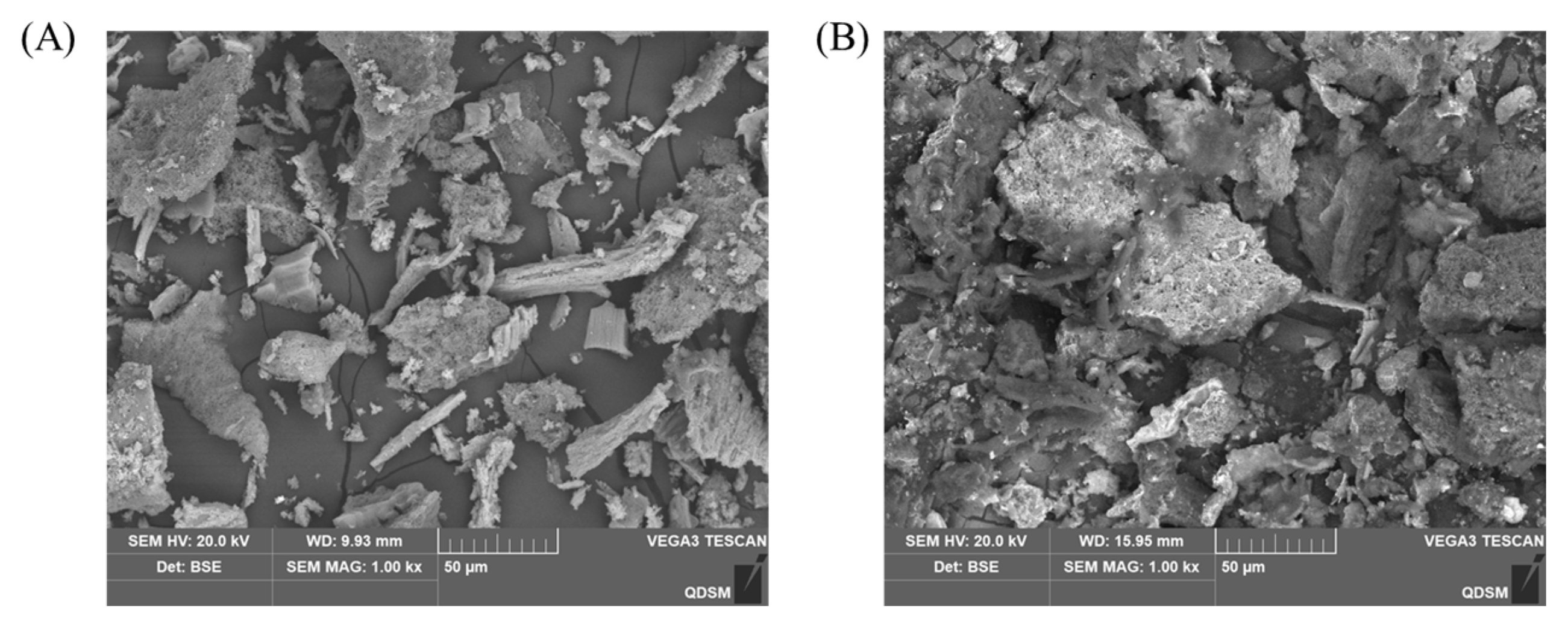 Foods 13 04004 g004 Foods 13 04004 g004