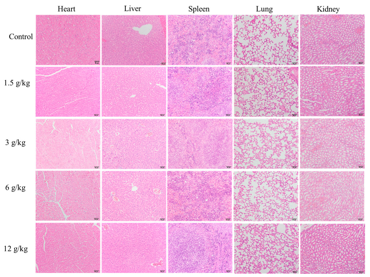 Foods 13 04004 g007 Foods 13 04004 g007