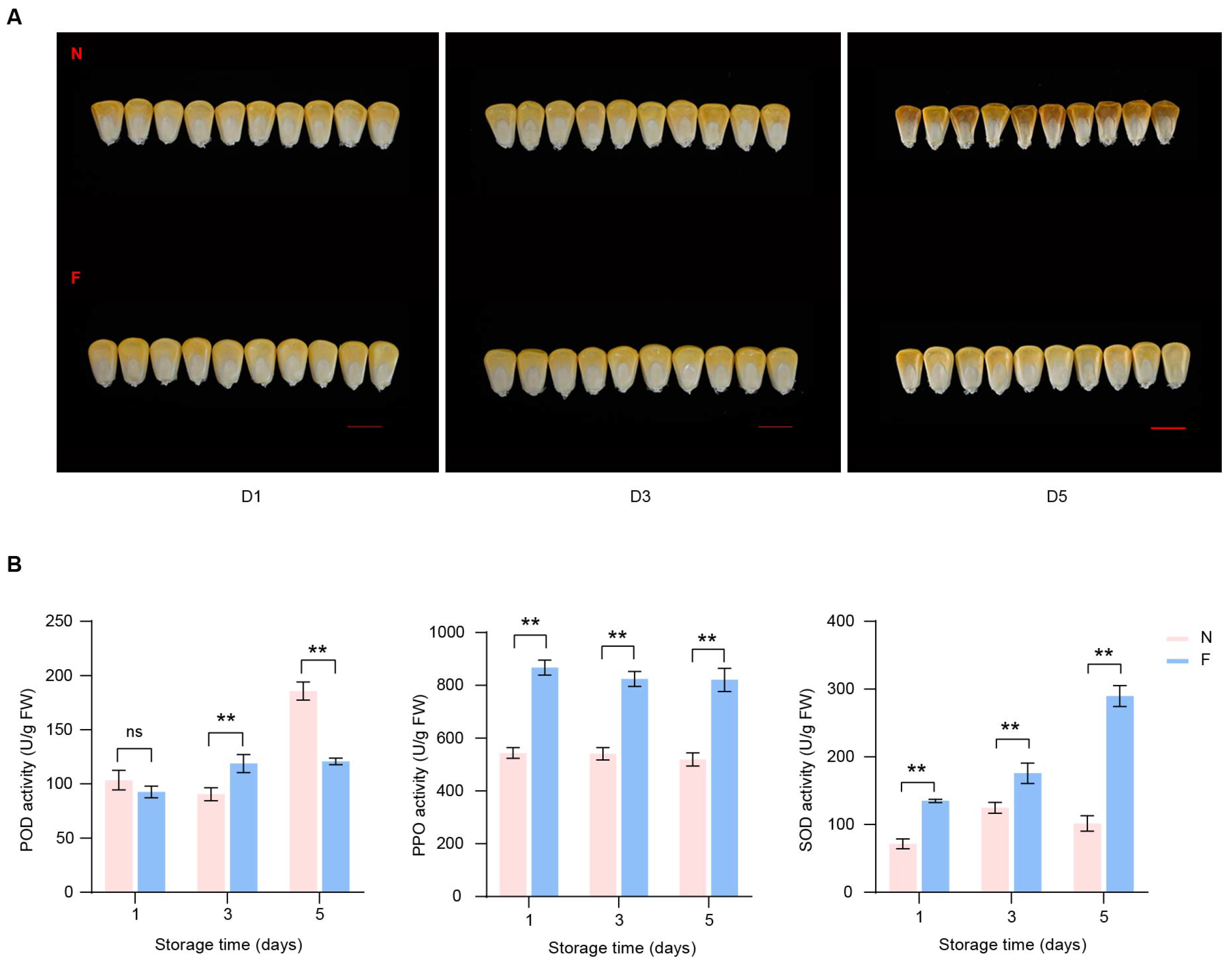 Integrated Transcriptome and Metabolome Analysis Reveals Integrated Transcriptome and Metabolome Analysis Reveals