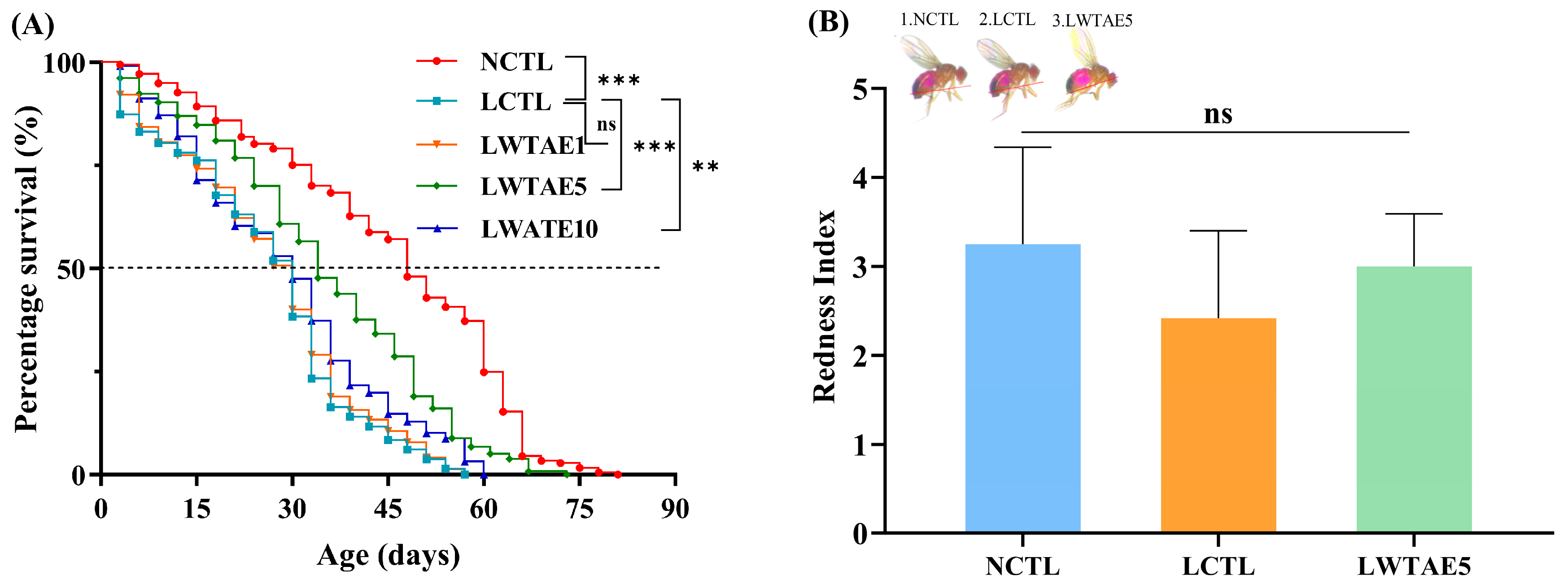 Foods 13 04034 g002a Foods 13 04034 g002a