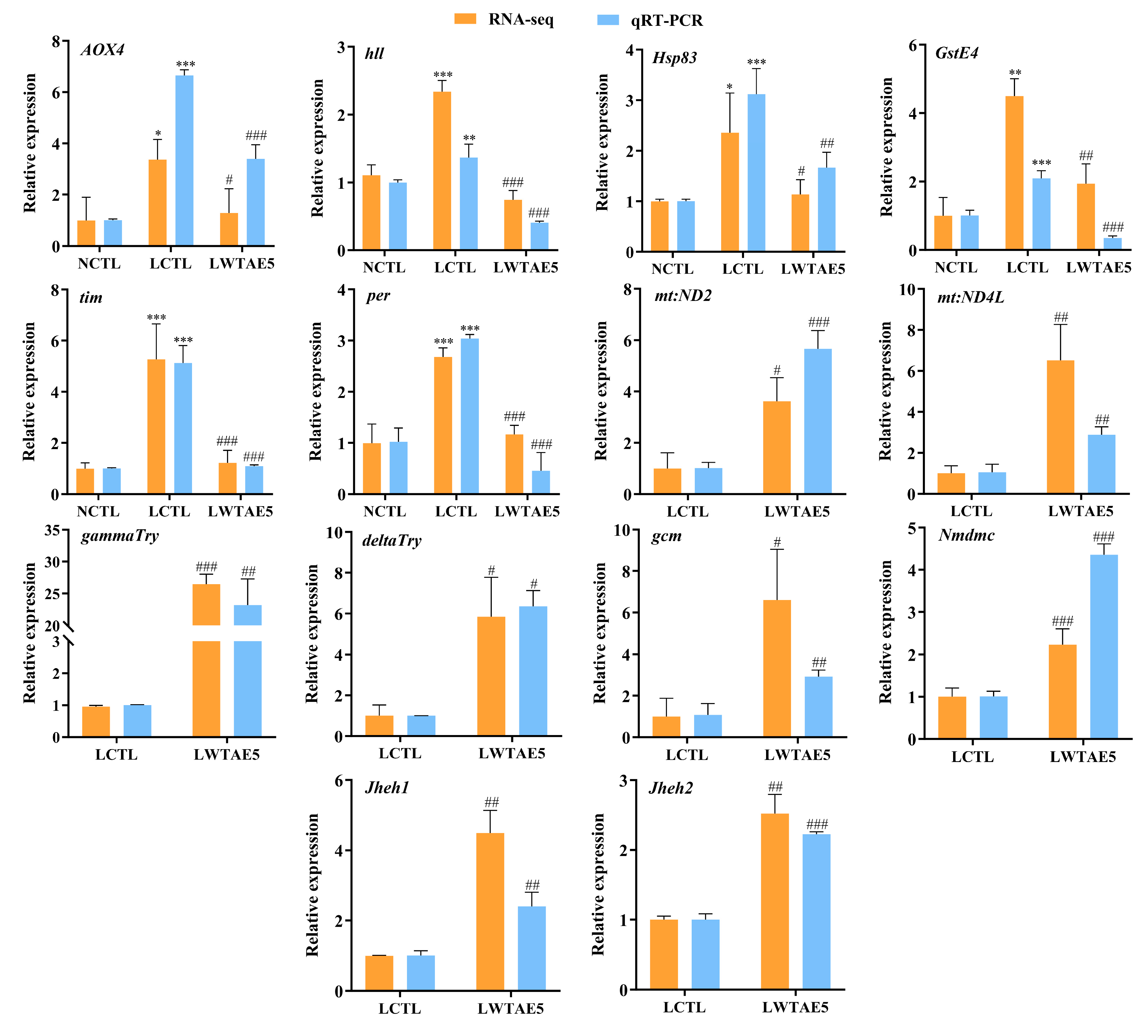 Foods 13 04034 g006 Foods 13 04034 g006