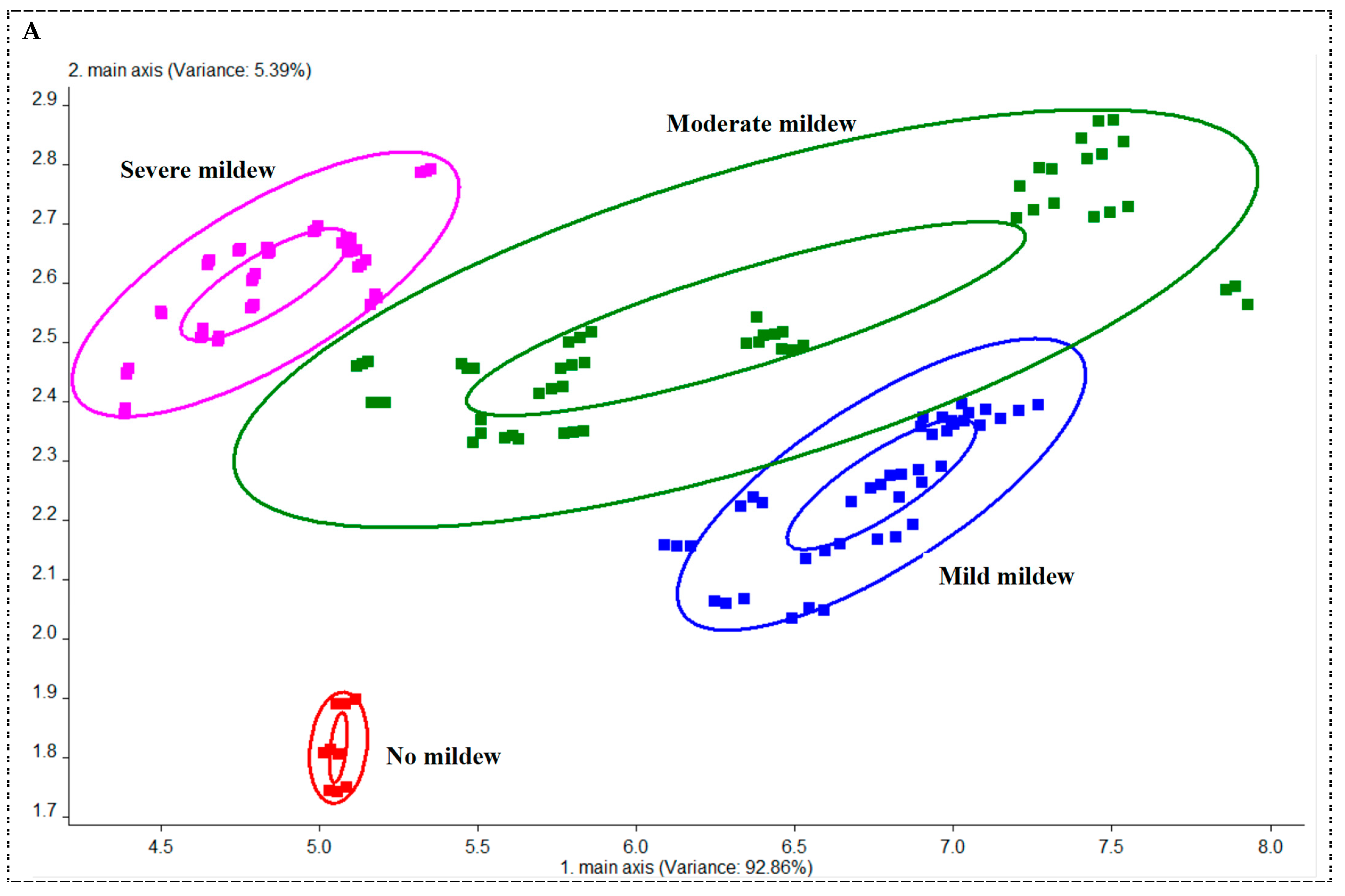 Foods 13 04064 g004a