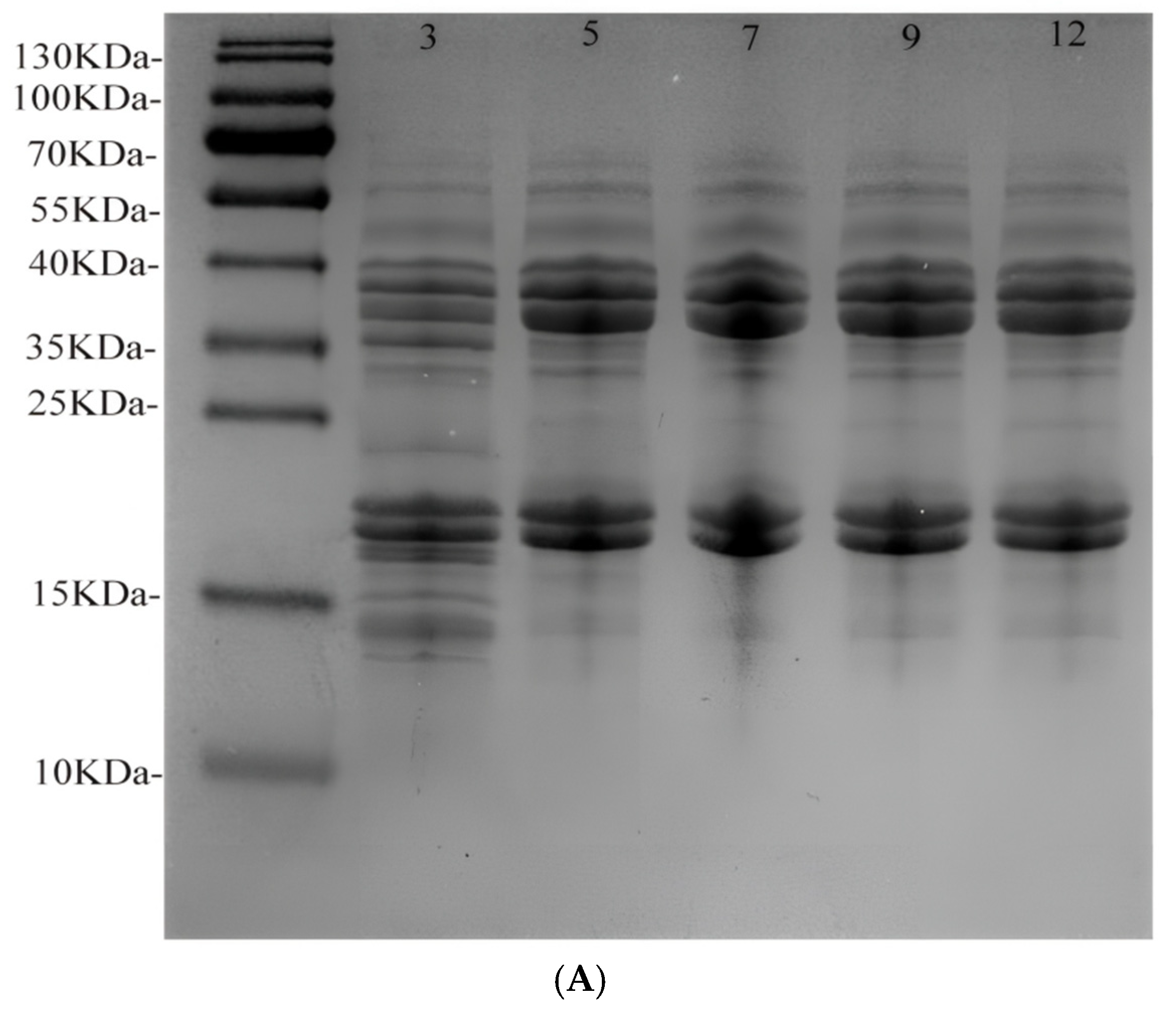 Foods 13 04067 g002a