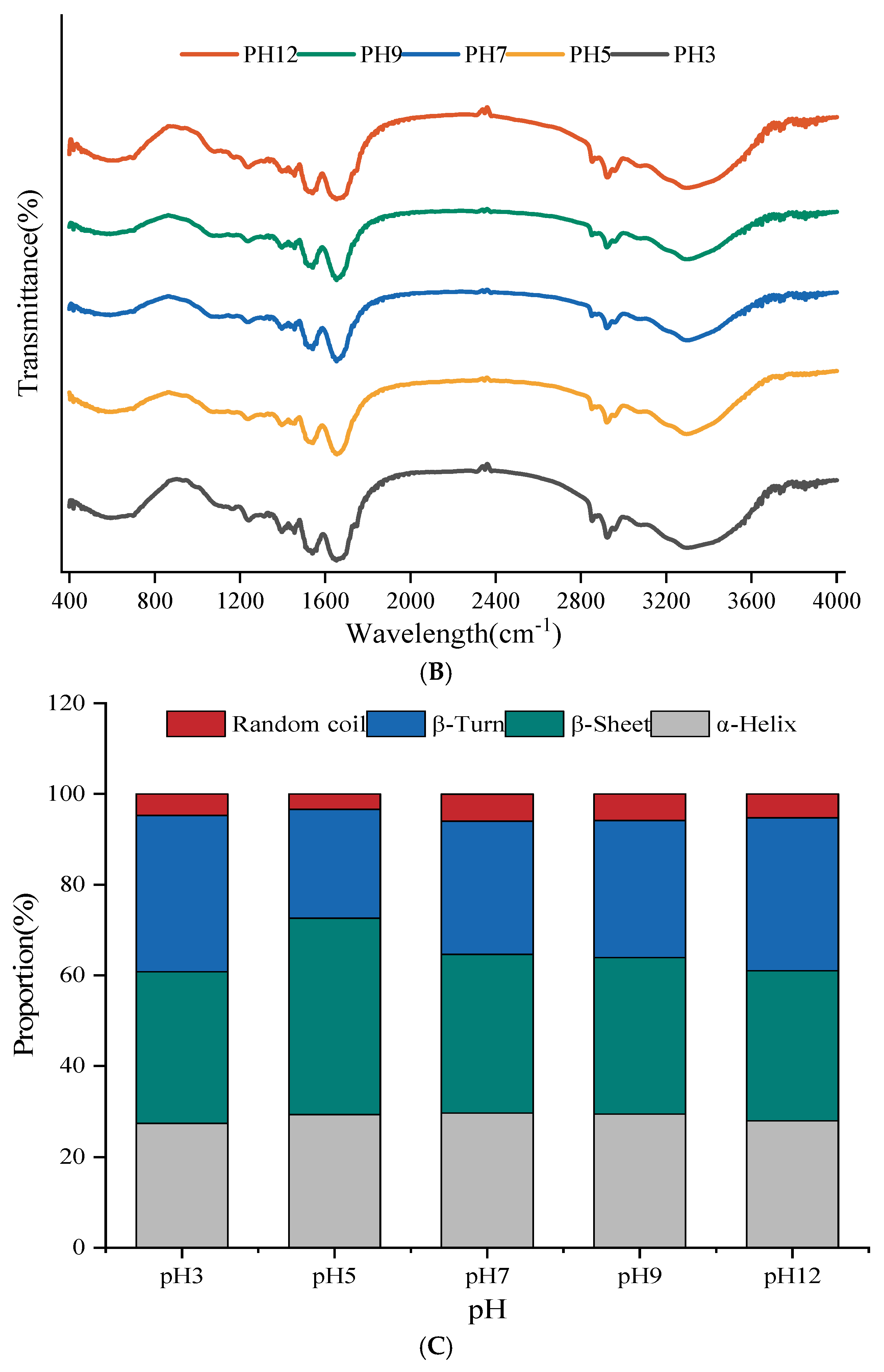 Foods 13 04067 g002b