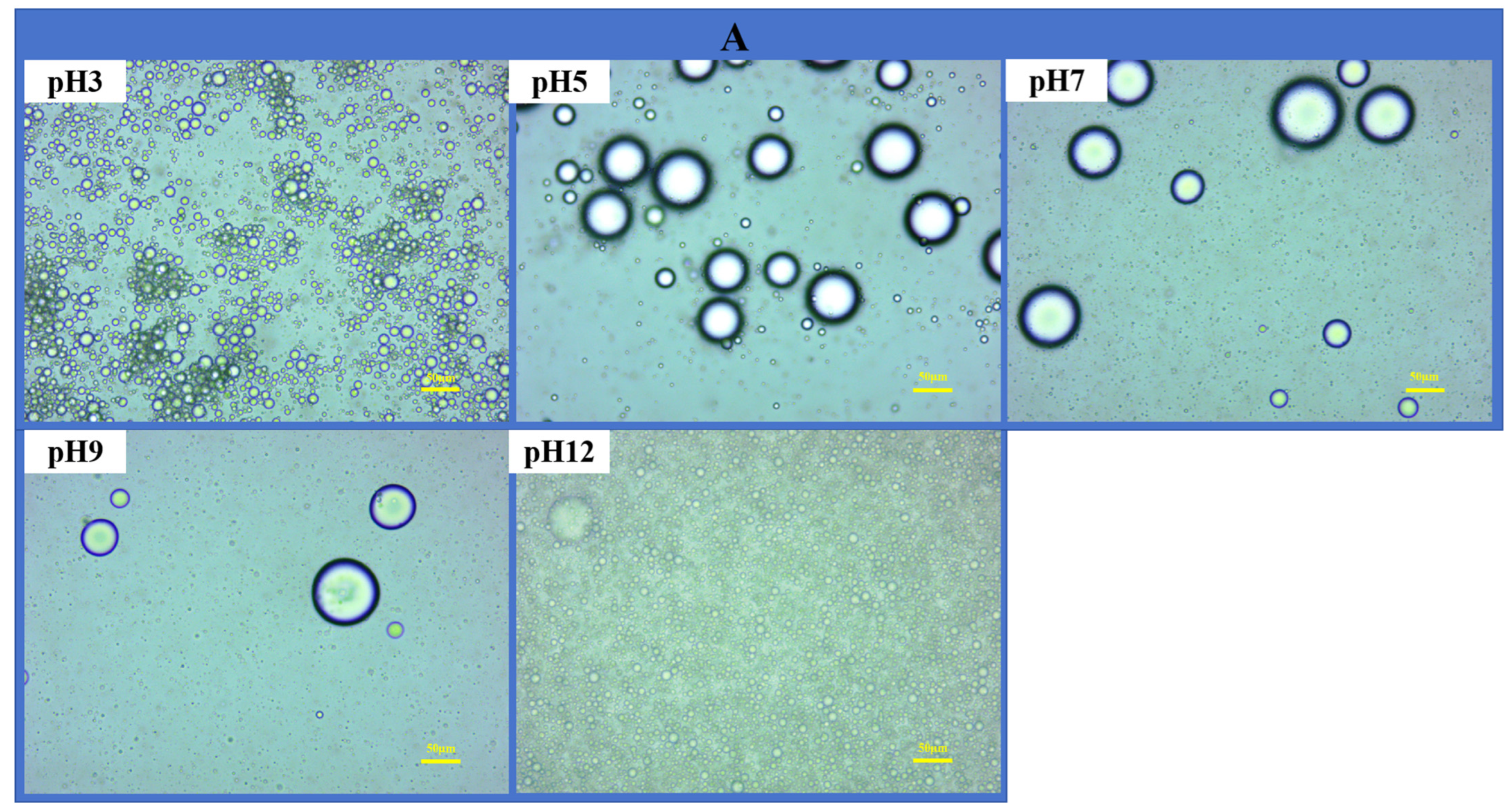 Foods 13 04067 g004a