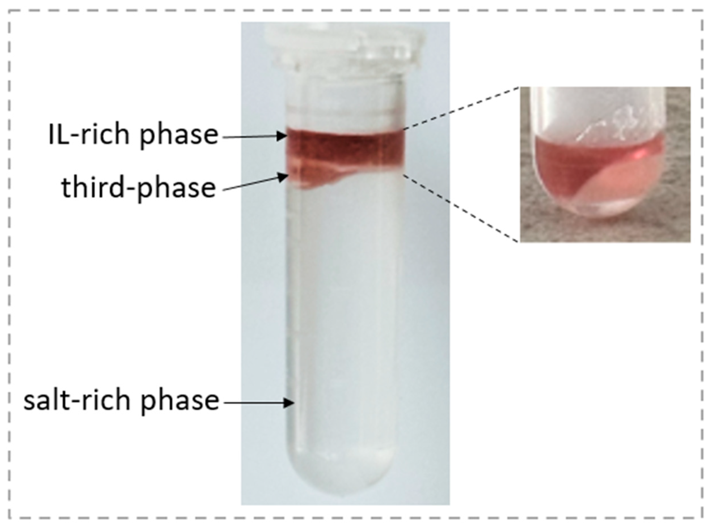 Foods 13 04106 g008 Foods 13 04106 g008