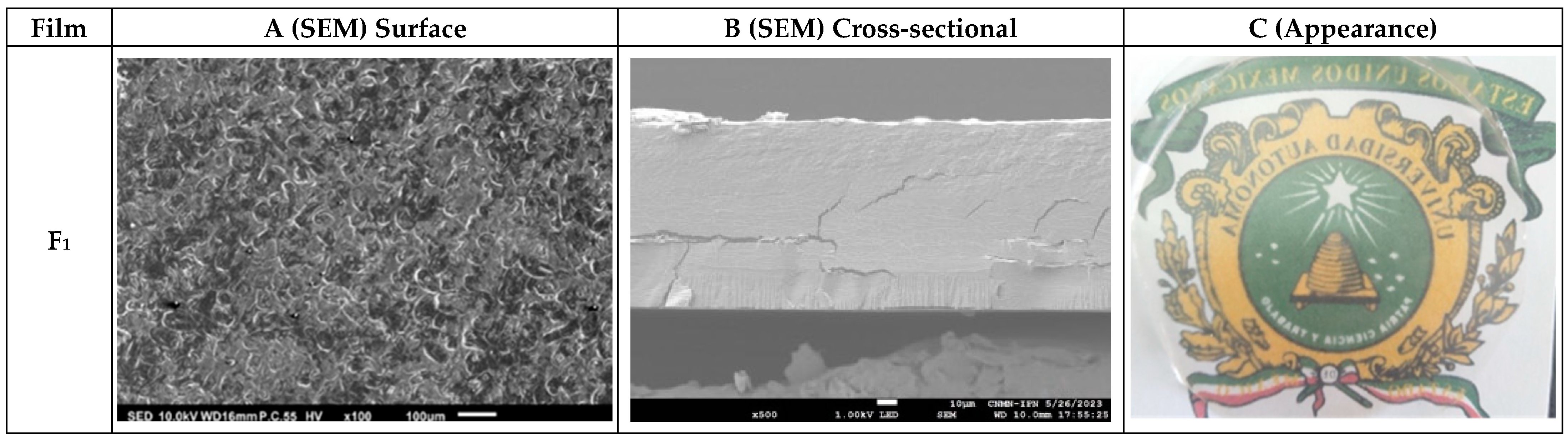 Foods 13 04129 g002a
