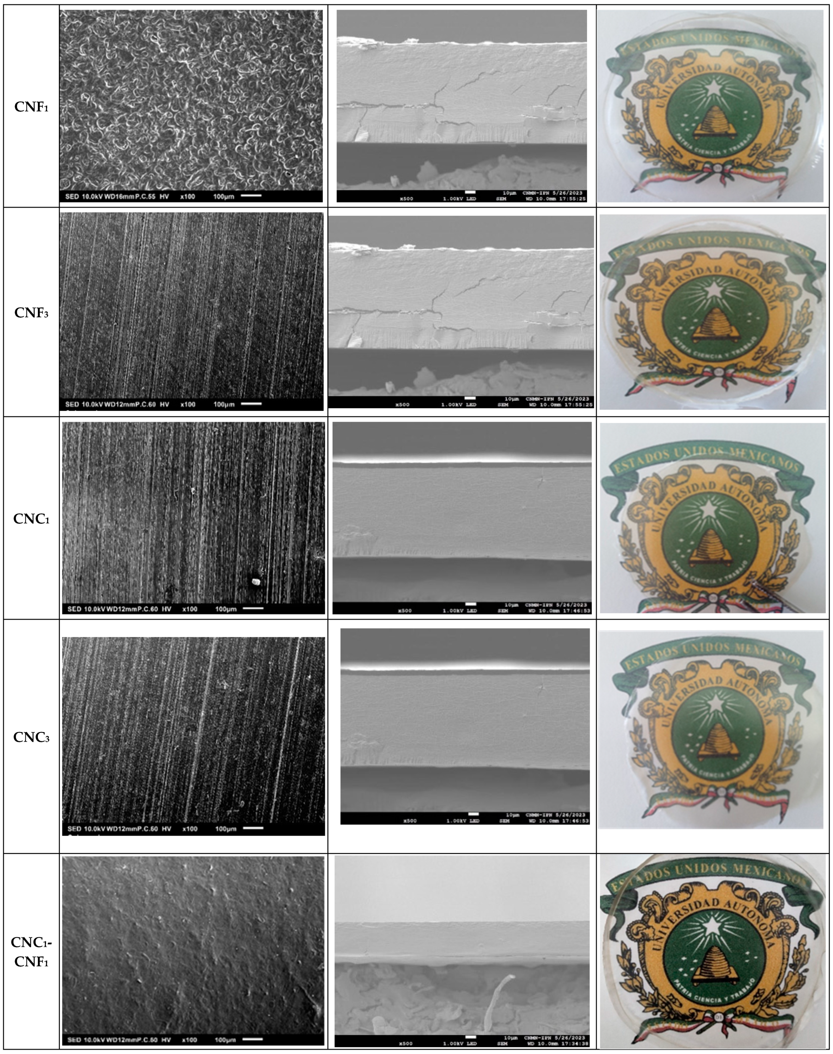 Foods 13 04129 g002b