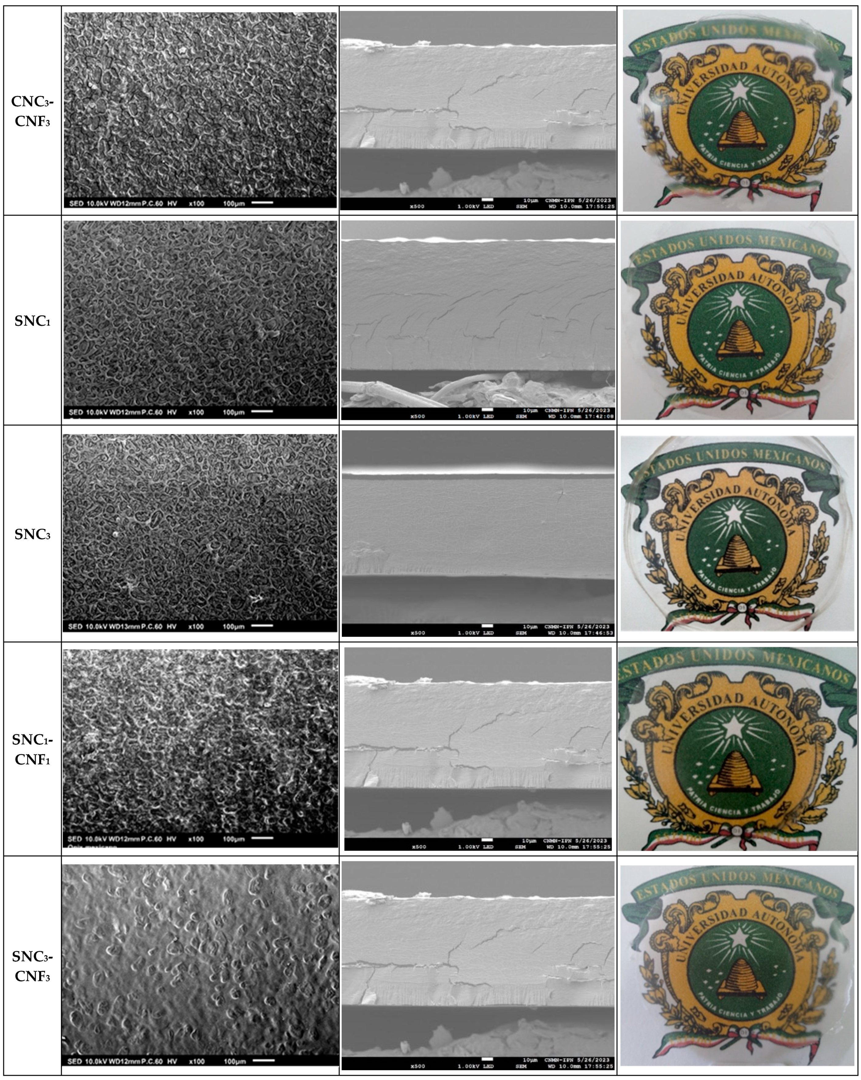 Foods 13 04129 g002c