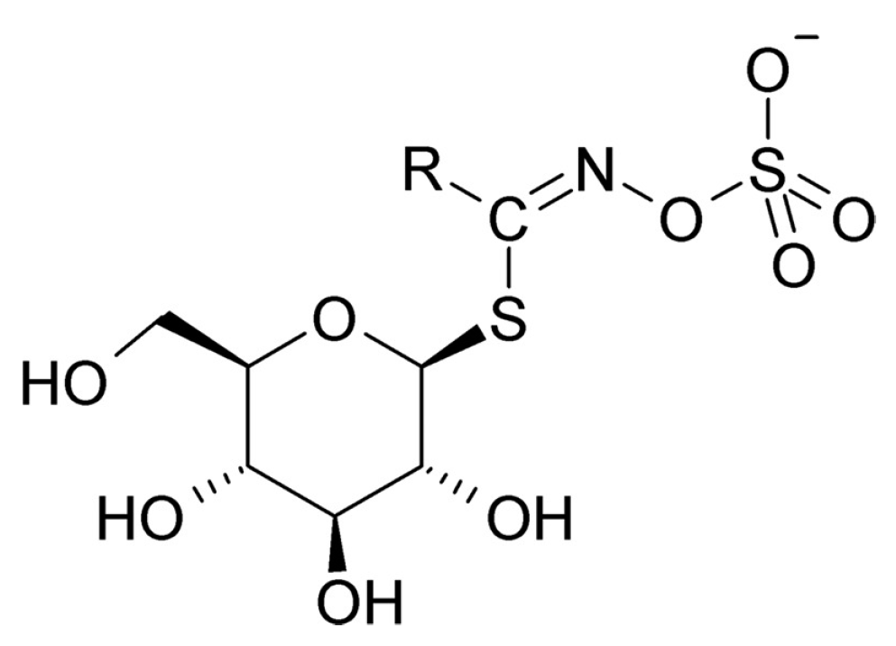 Foods 13 04141 g001 Foods 13 04141 g001