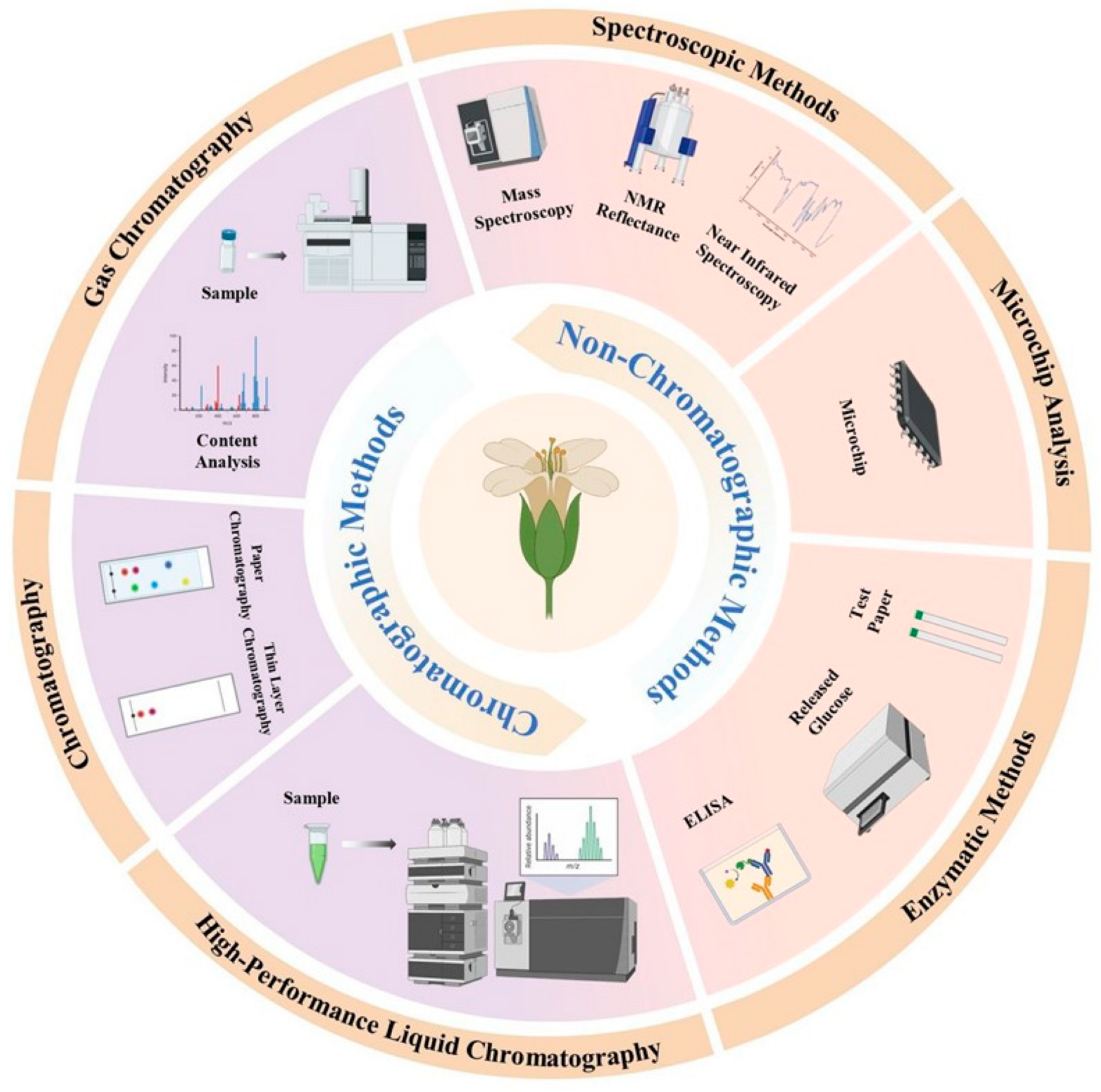 Foods 13 04141 g002 Foods 13 04141 g002