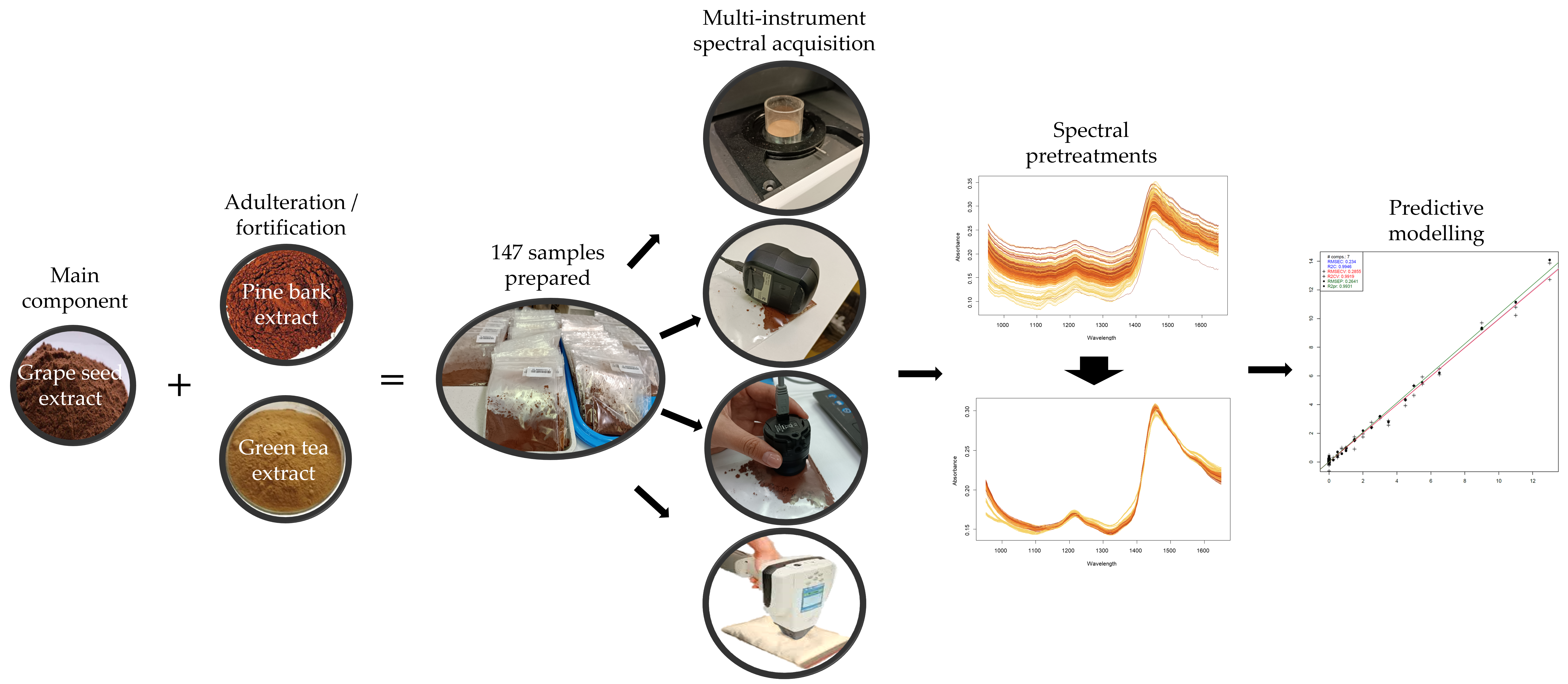 Foods 13 04164 g001 Foods 13 04164 g001