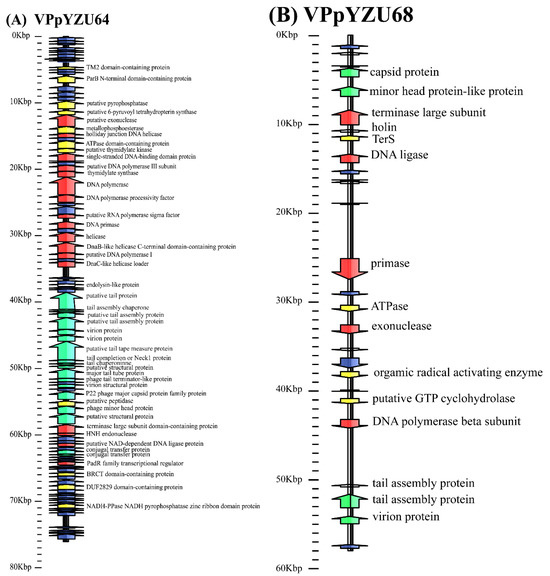 Control of Vibrio parahaemolyticus in Seafood Using the