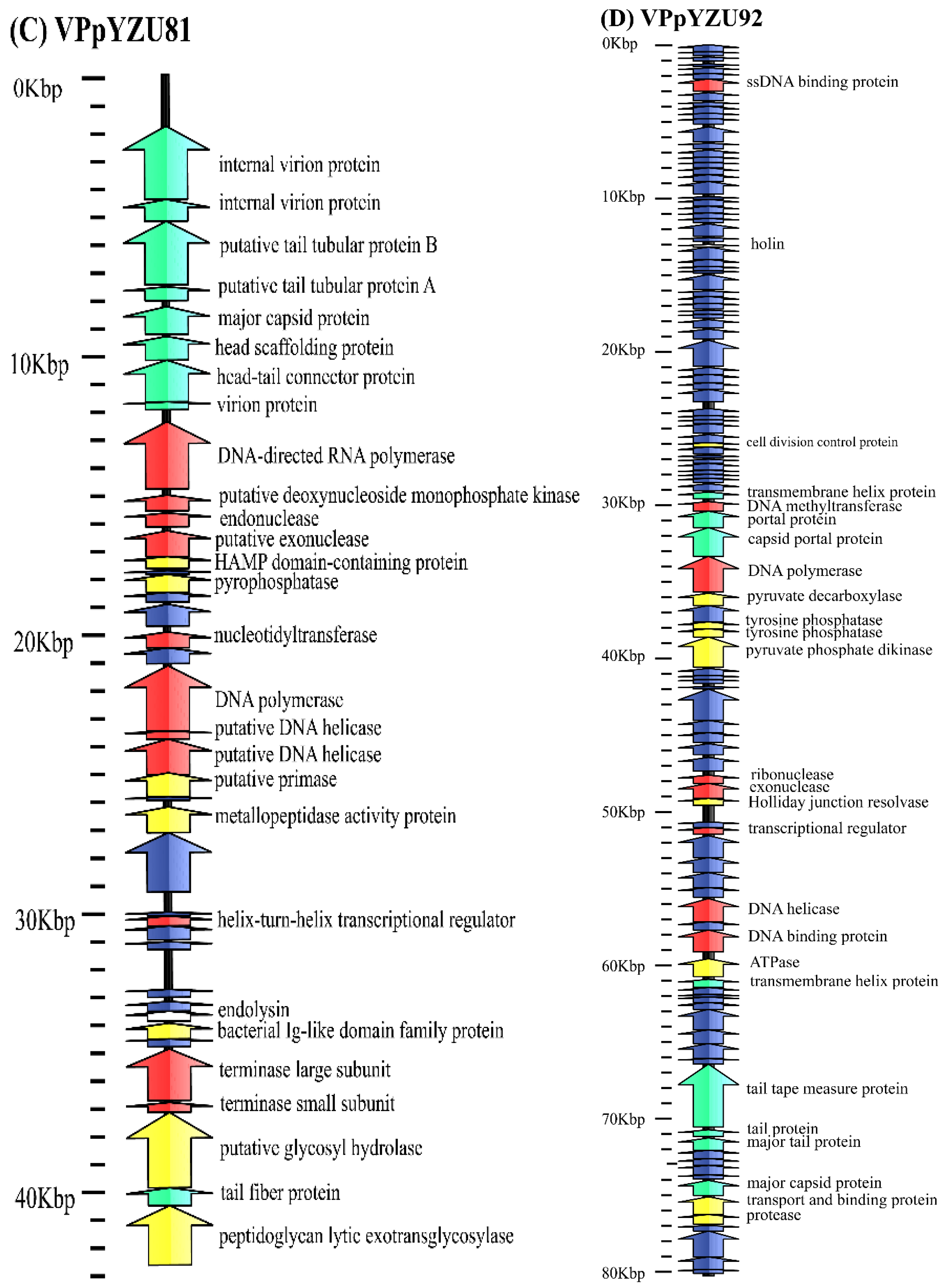 Foods 14 00037 g001b