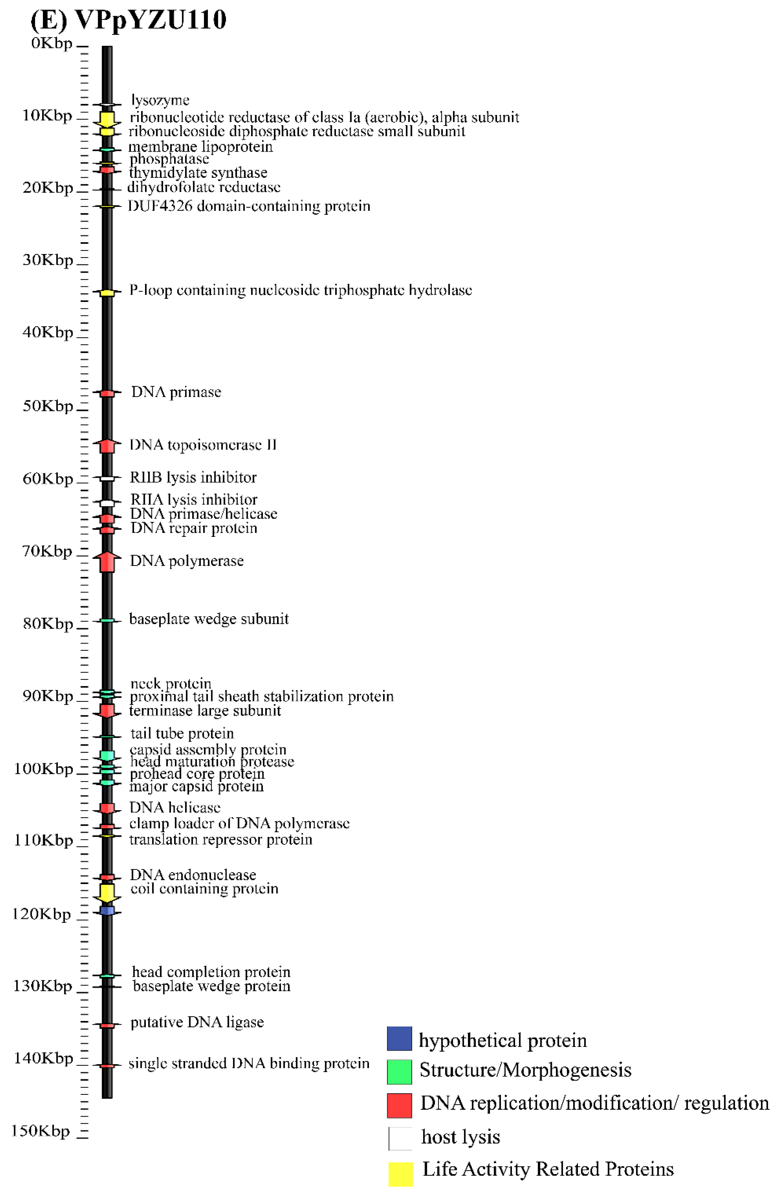 Foods 14 00037 g001c