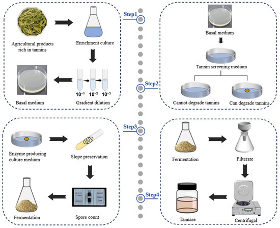 Bidirectional Interplay Among Non-Coding RNAs, the