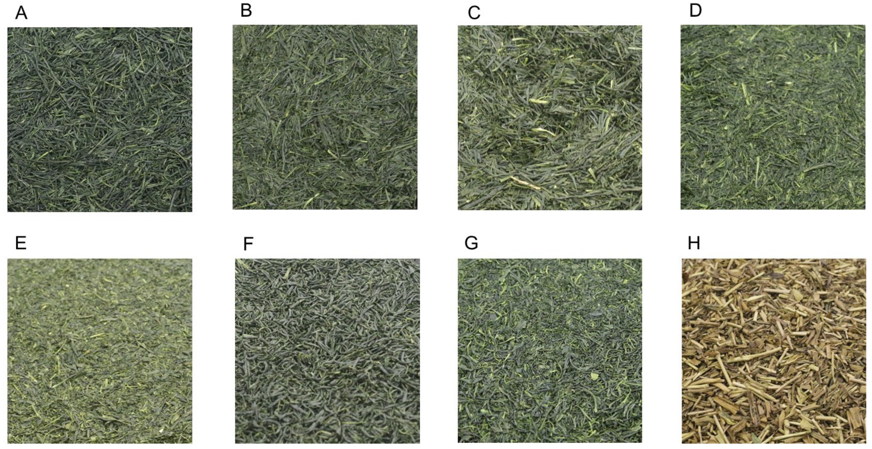 Foods 14 00103 g001 Foods 14 00103 g001