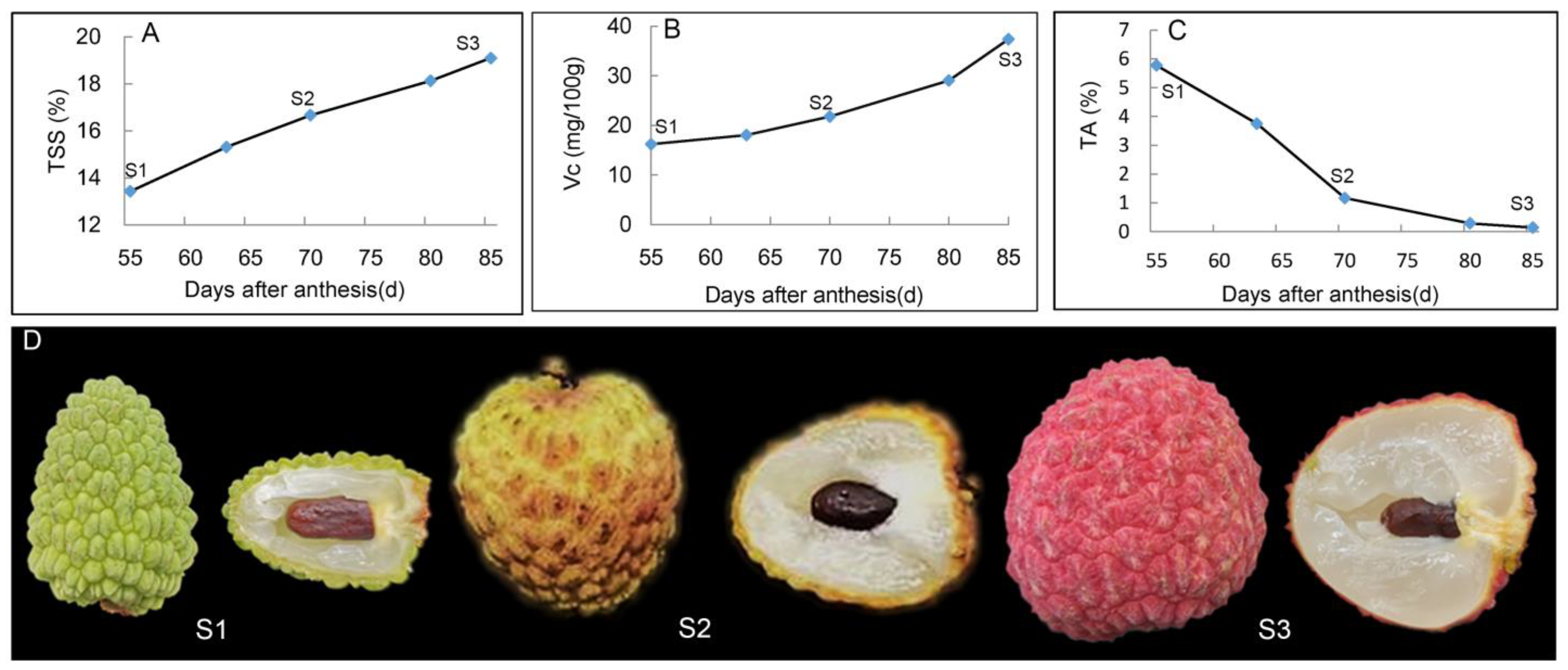 From acidity to sweetness: a comprehensive review of carbon