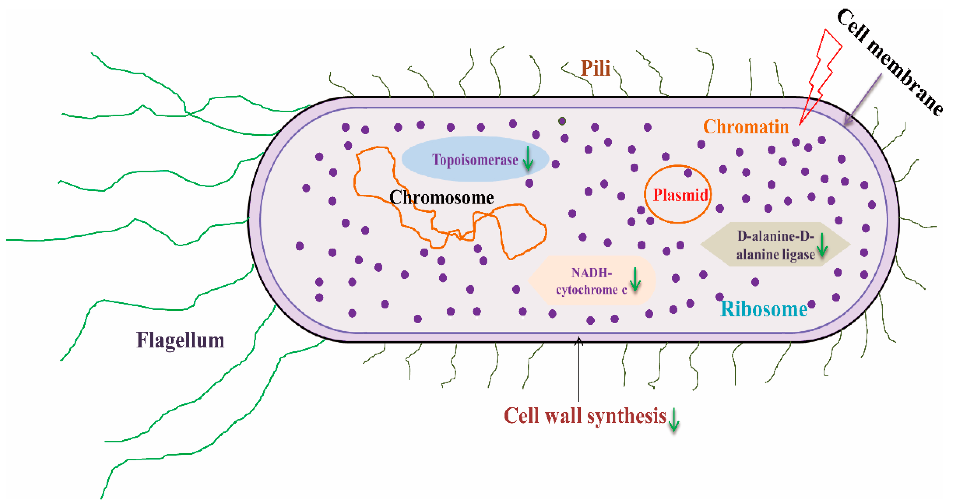 Foods 14 00155 g002 Foods 14 00155 g002