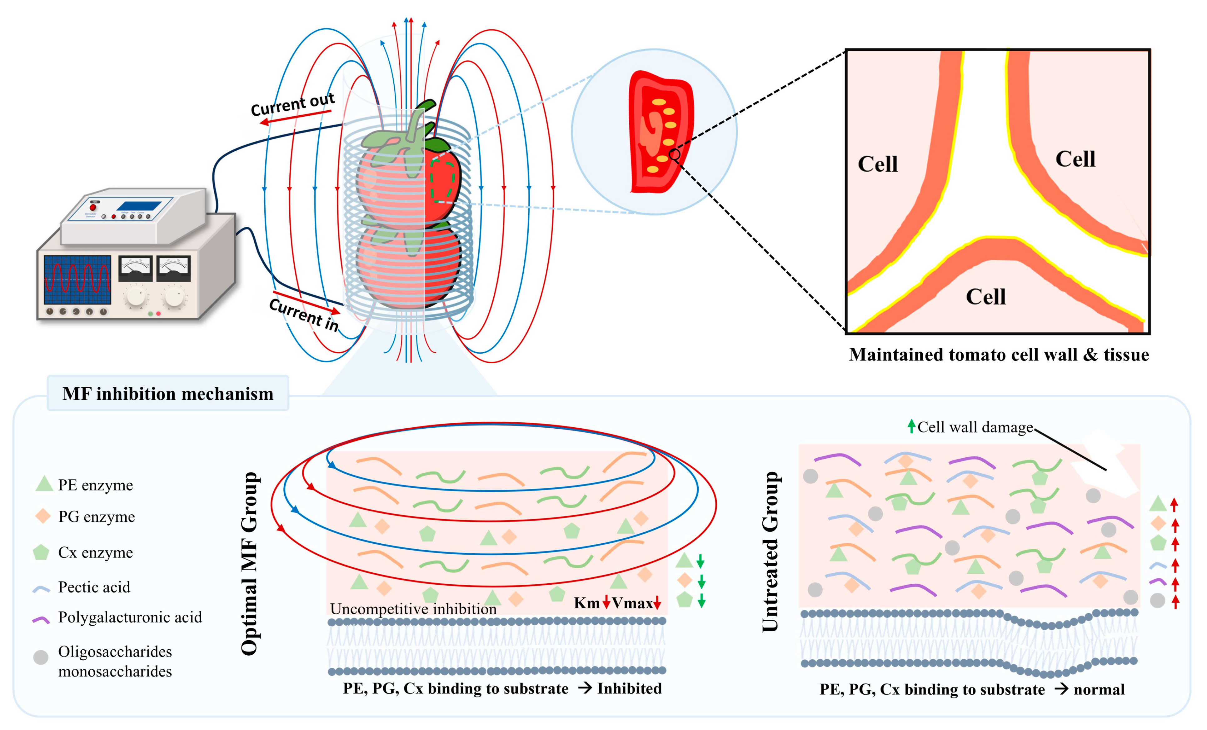 Foods 14 00166 g006 Foods 14 00166 g006