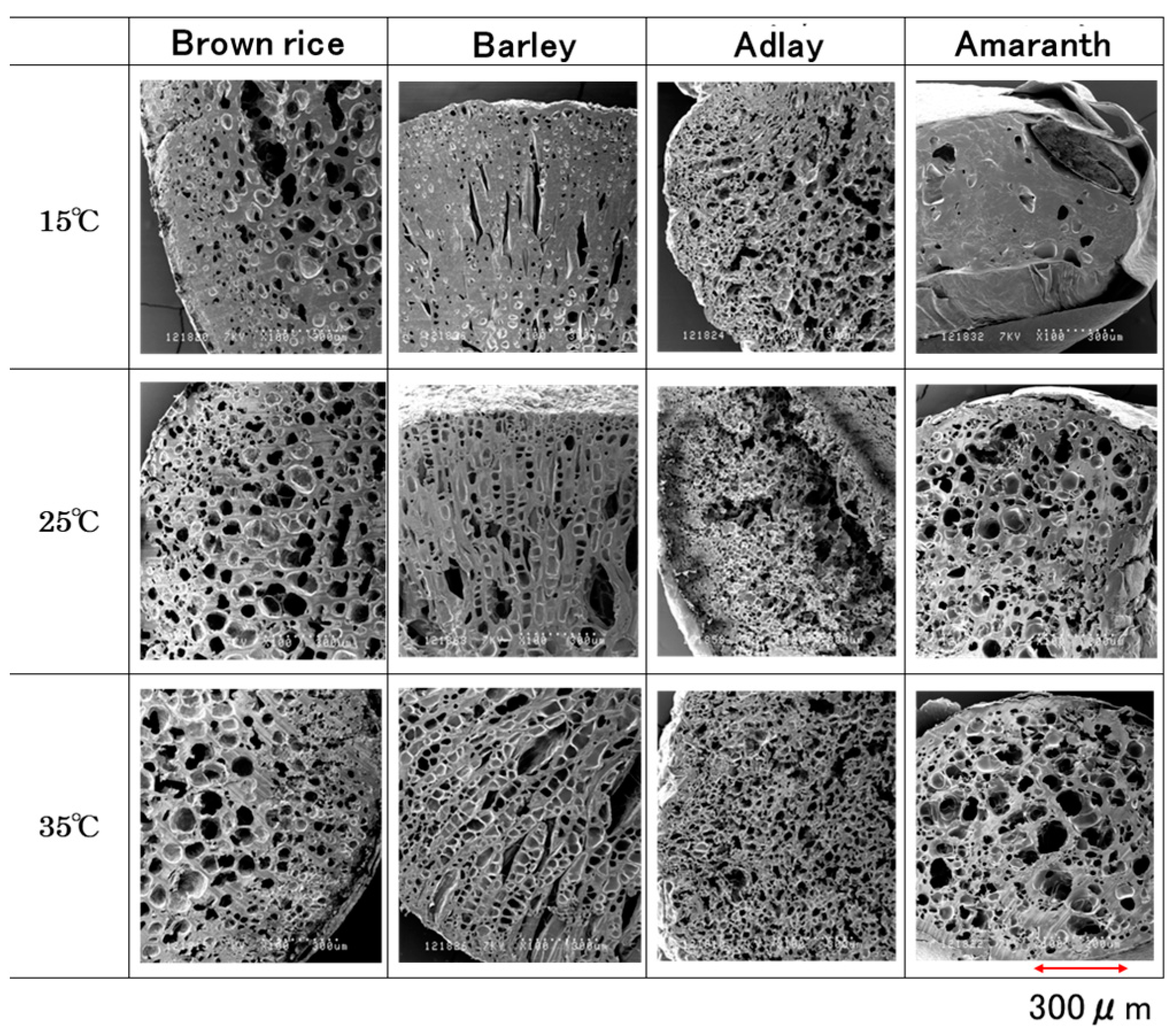 Foods 14 00189 g007 Foods 14 00189 g007