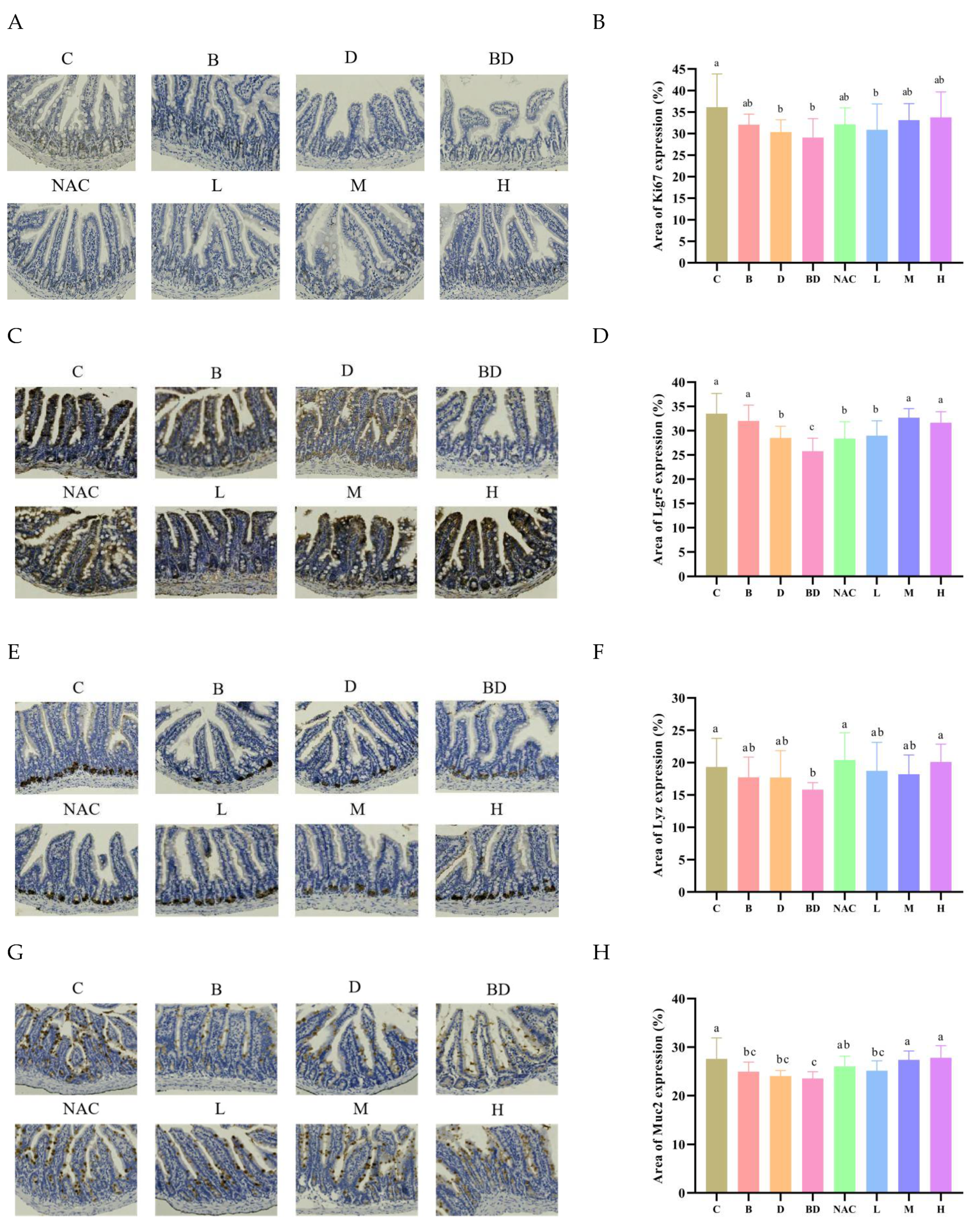 Foods 14 00214 g004a