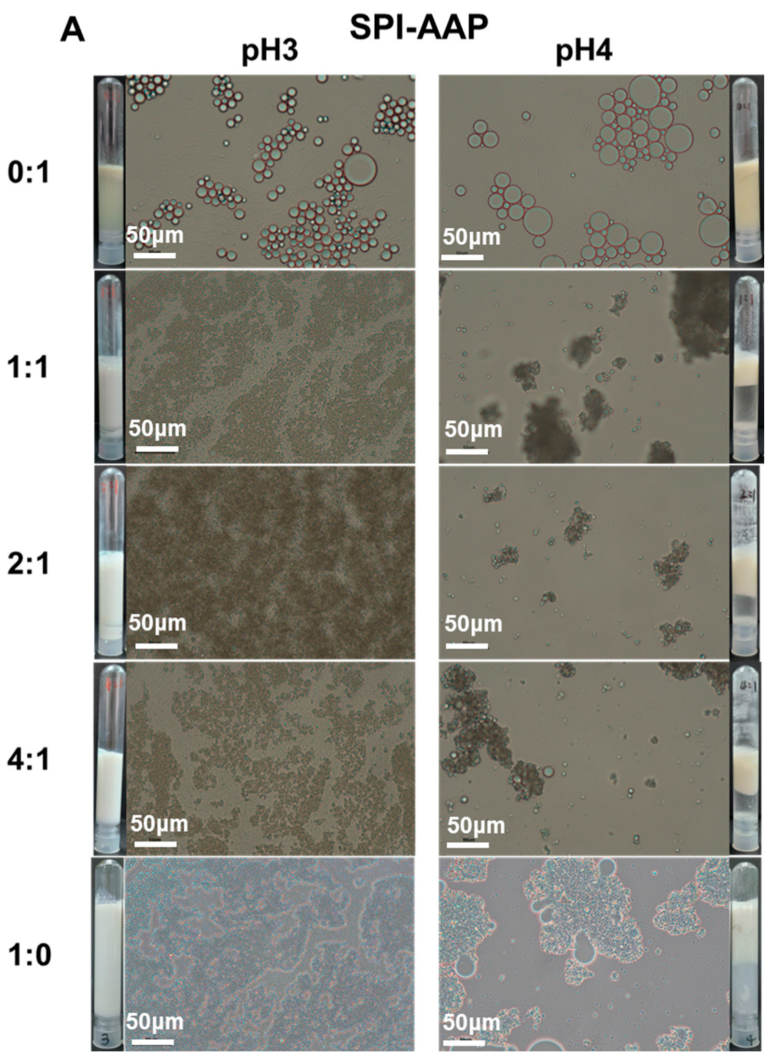 Foods 14 00215 g005a