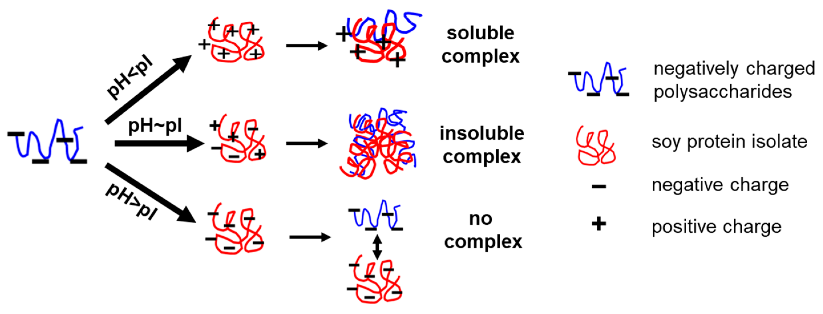 Foods 14 00215 sch001