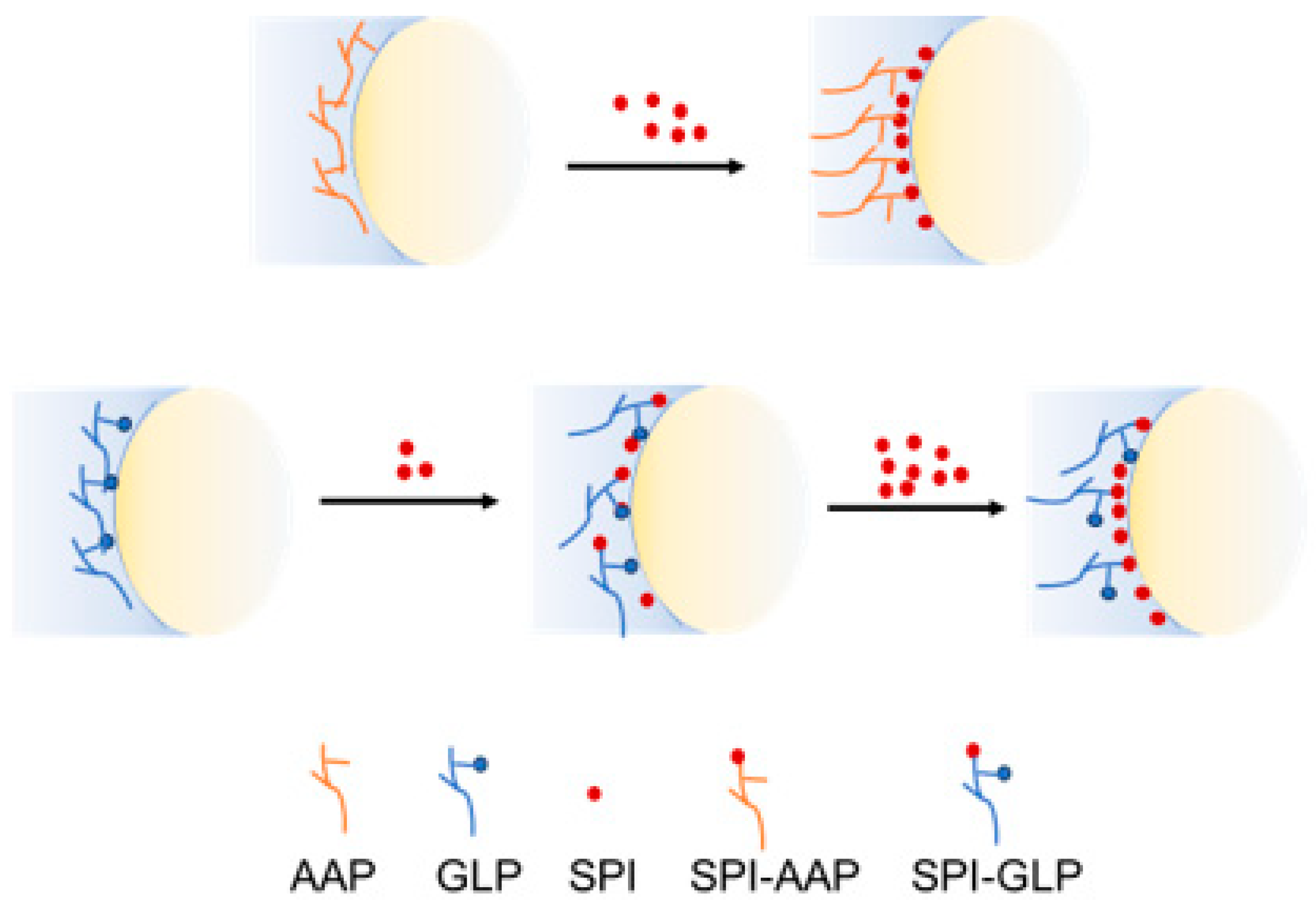 Foods 14 00215 sch002
