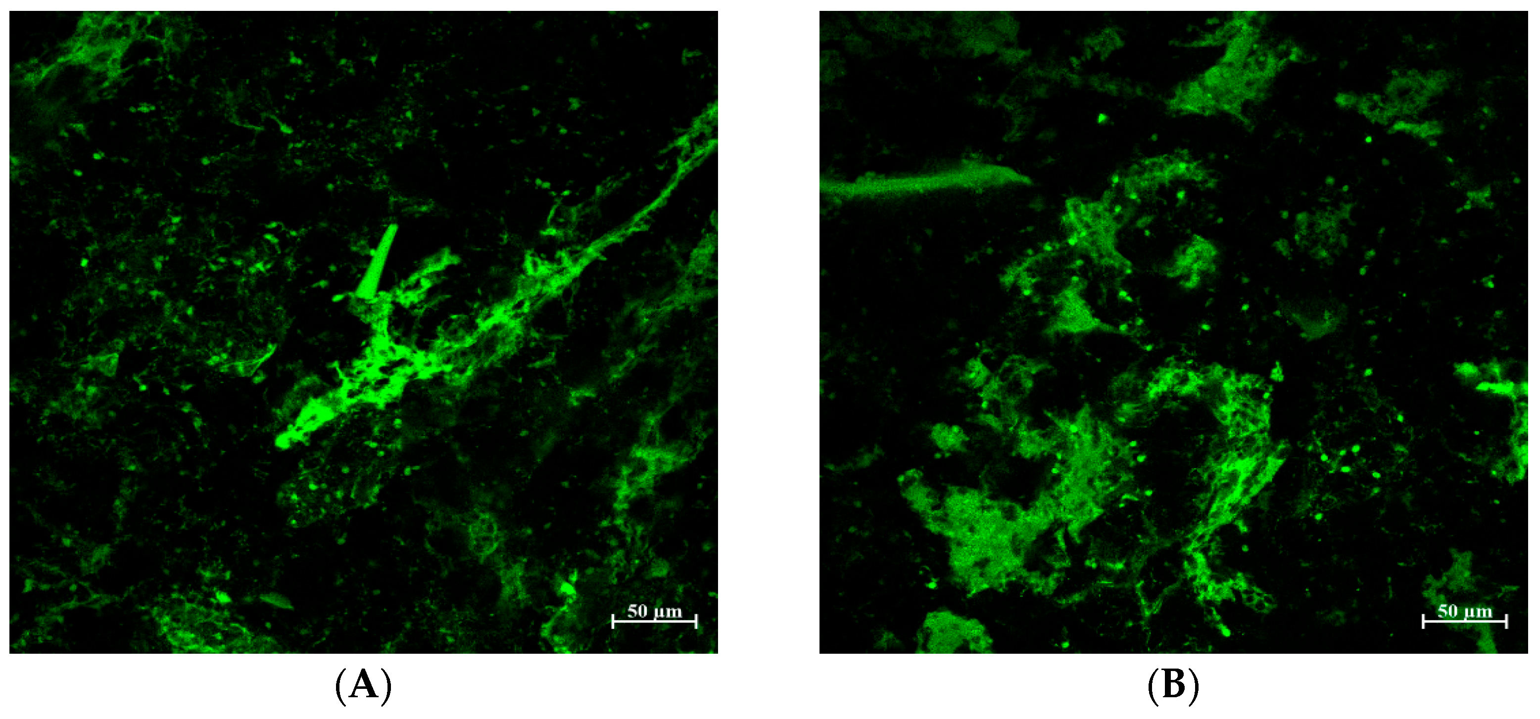 Foods 14 00233 g005a