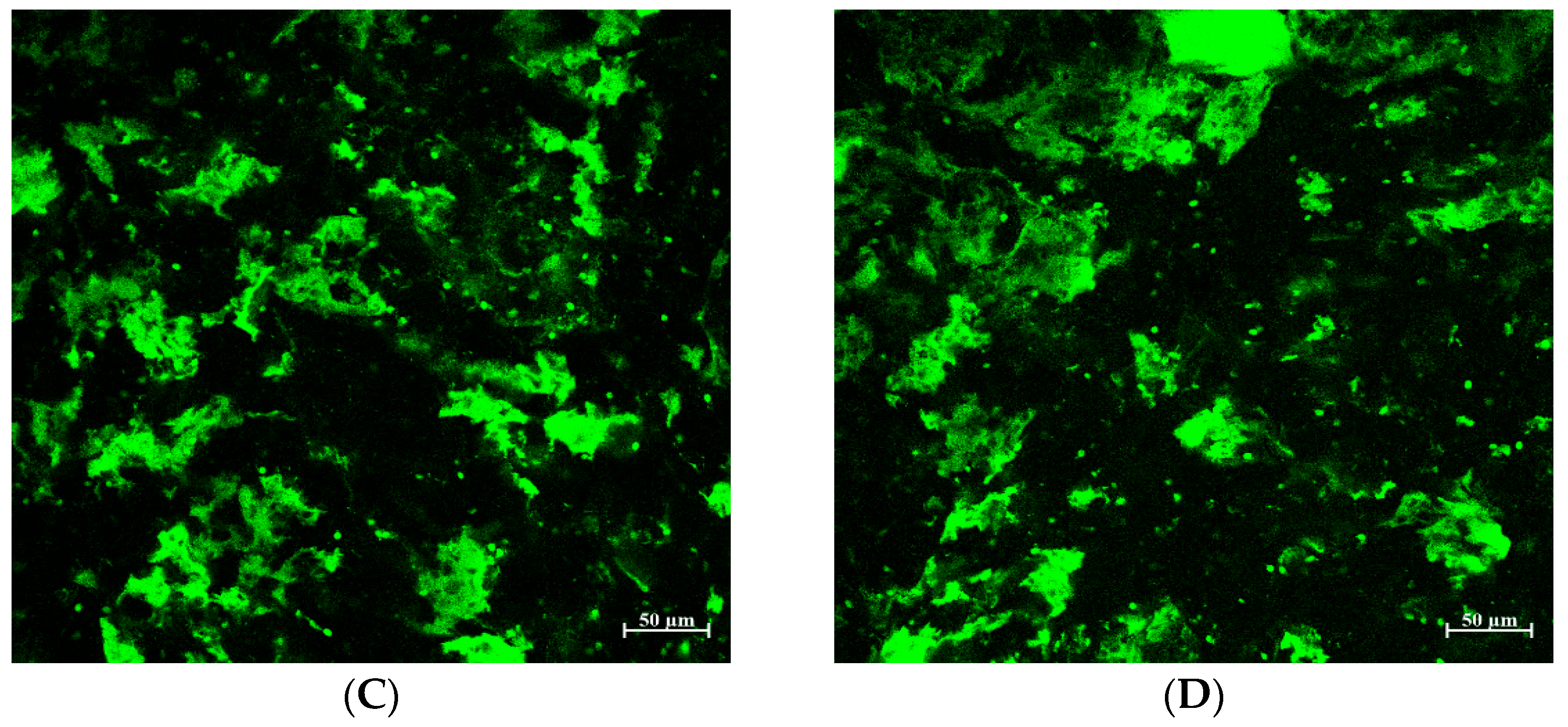 Foods 14 00233 g005b