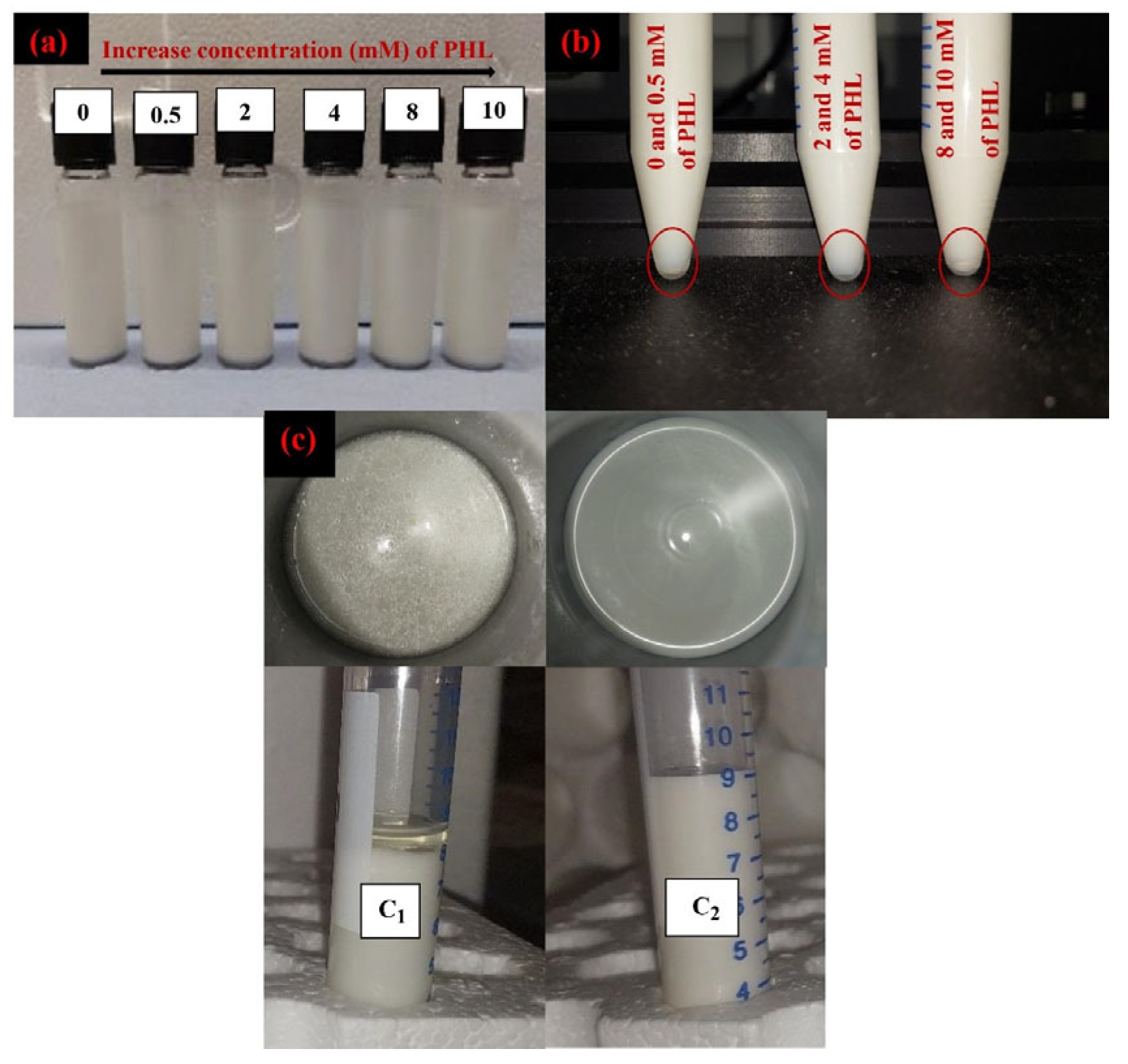 Foods 14 00236 g006 Foods 14 00236 g006