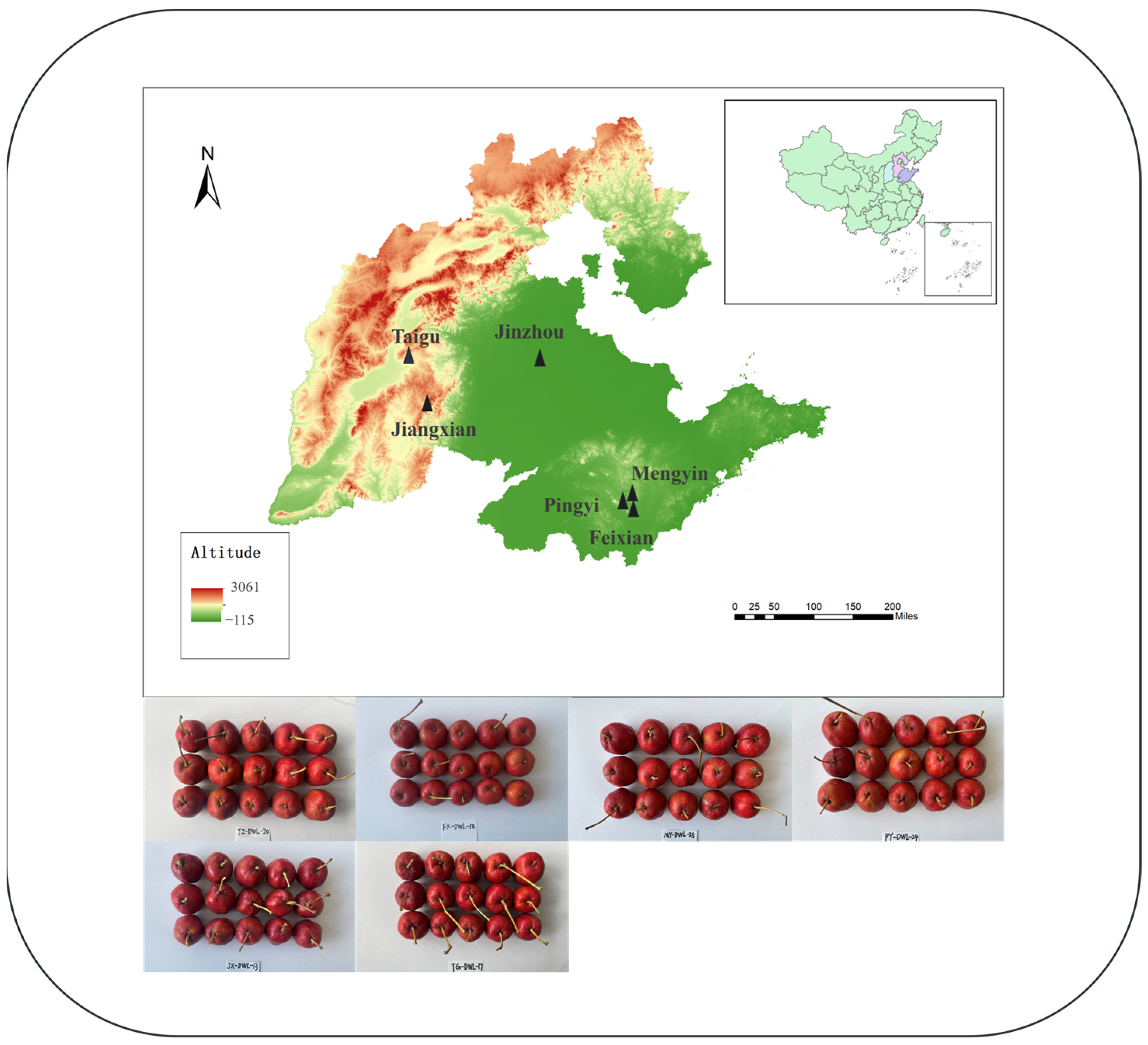 Foods 14 00241 g001 Foods 14 00241 g001