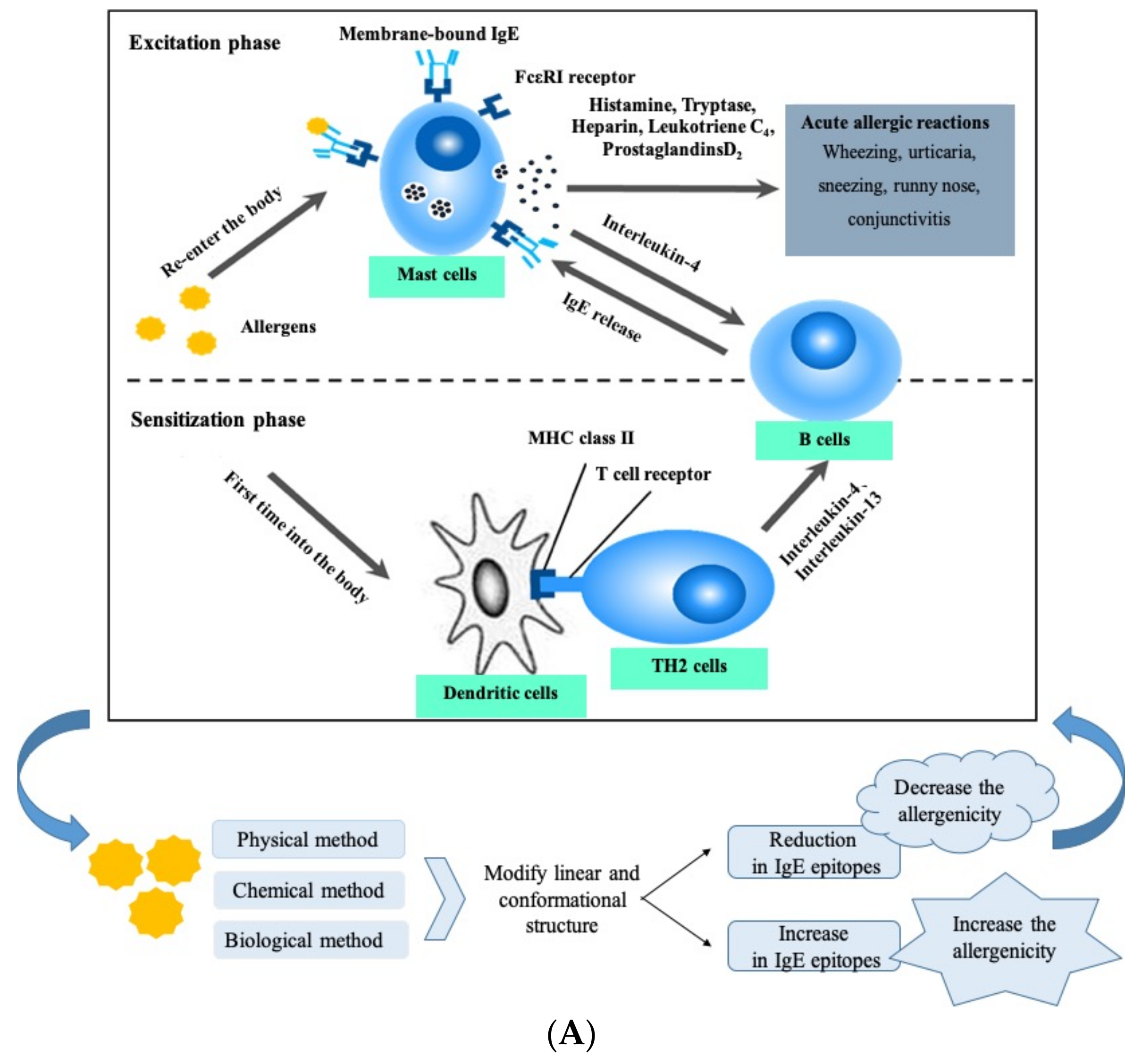 Foods 14 00285 g004a