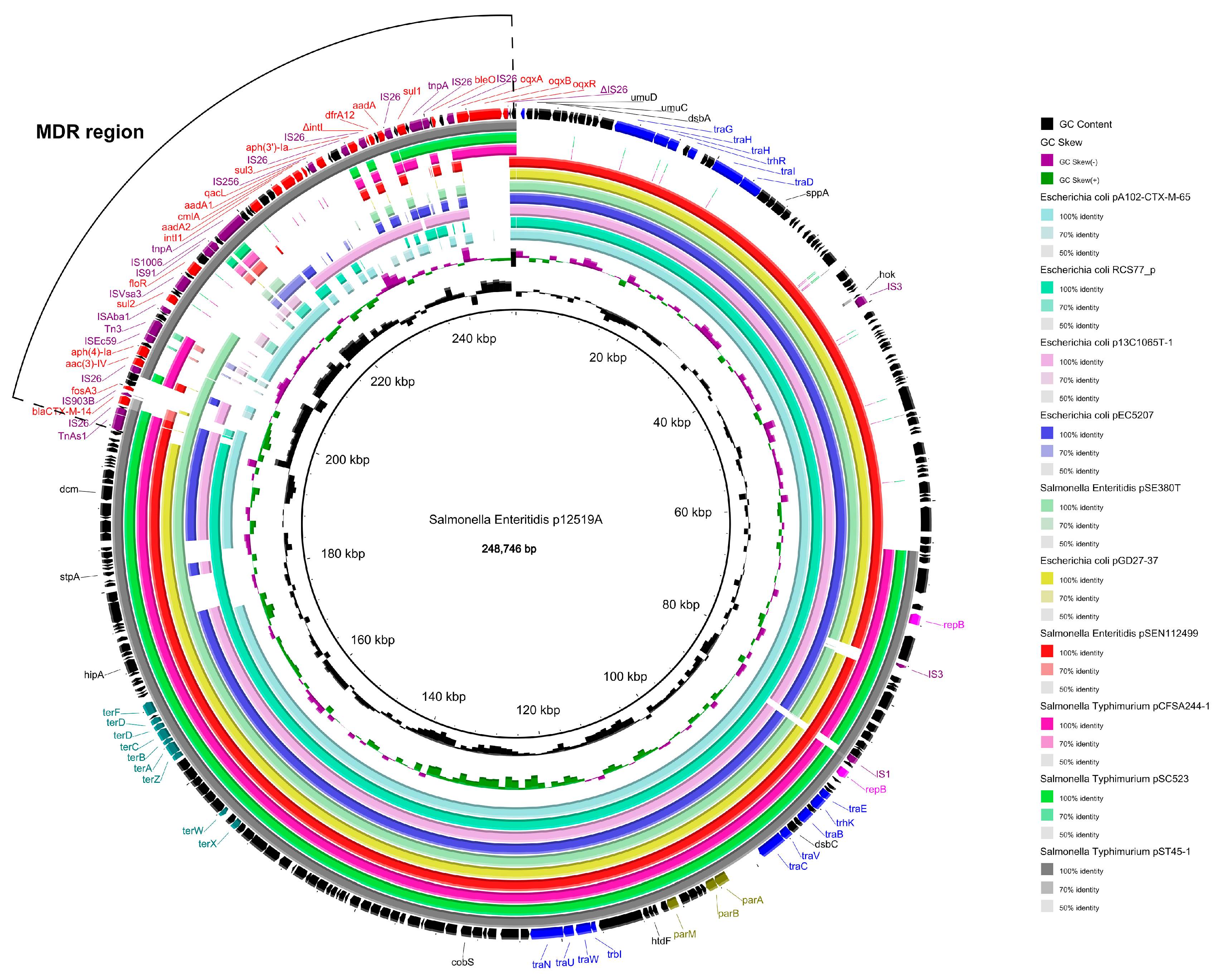 Foods 14 00289 g004 Foods 14 00289 g004