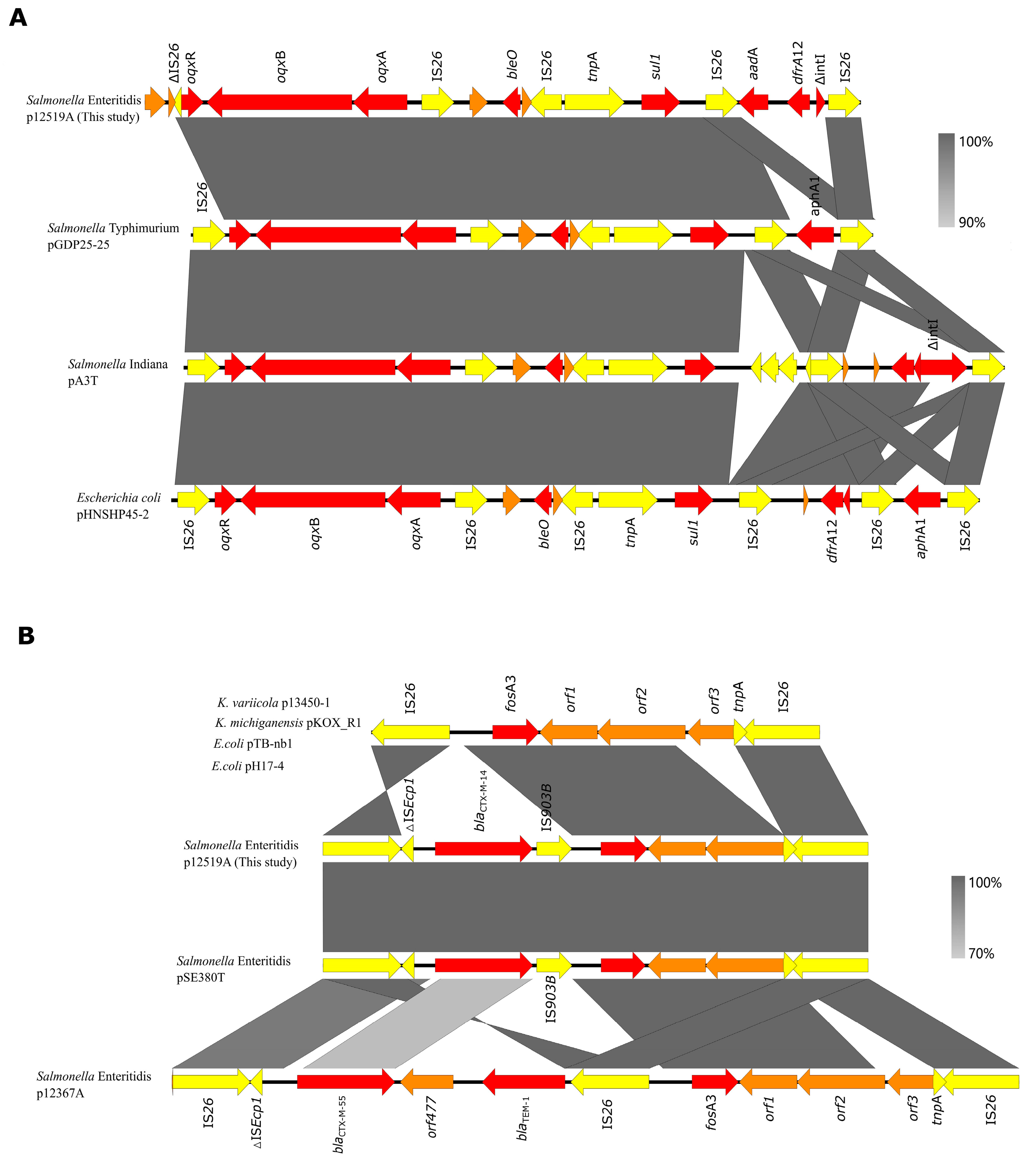 Foods 14 00289 g005 Foods 14 00289 g005