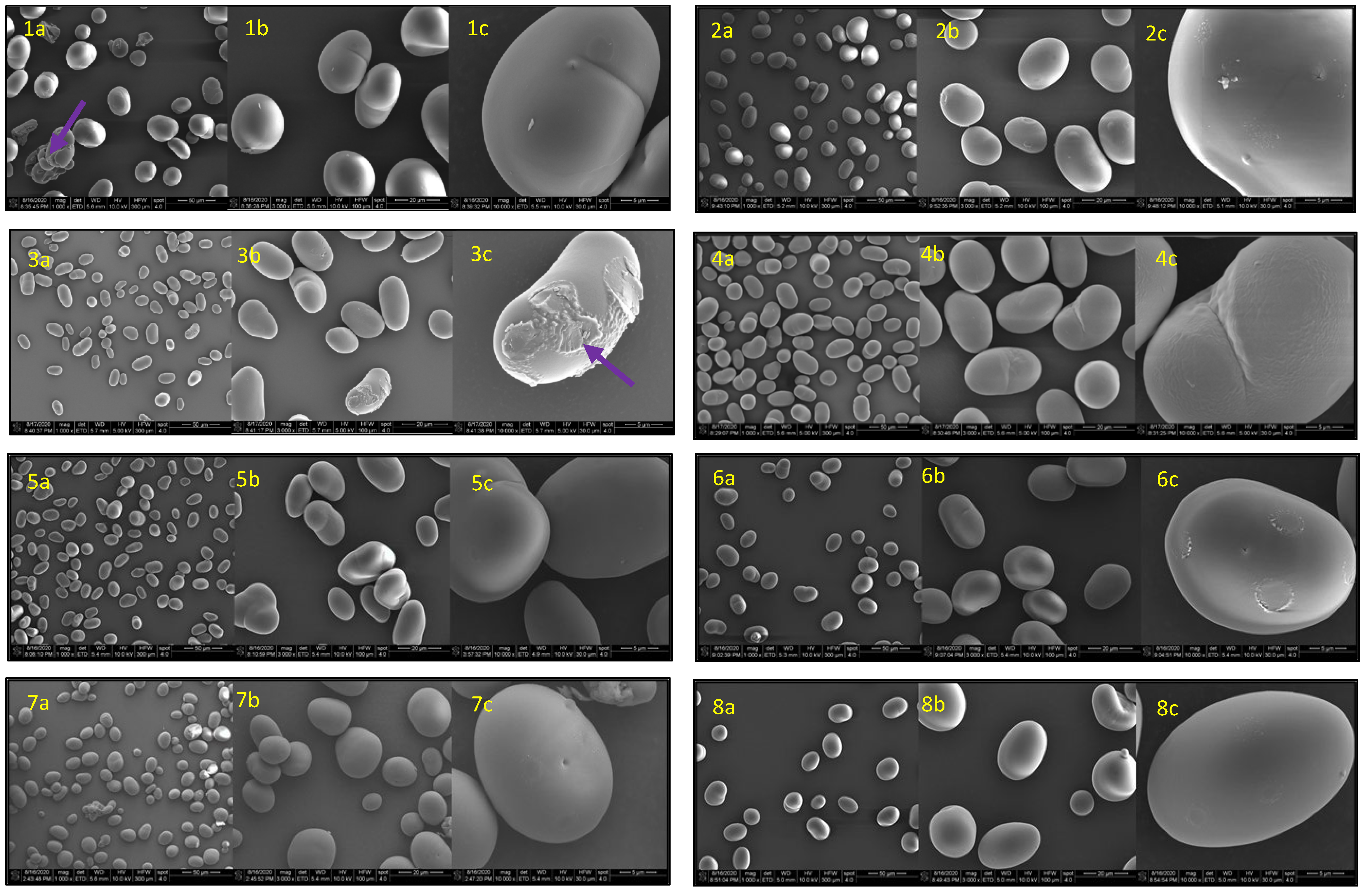 Foods 14 00328 g001a